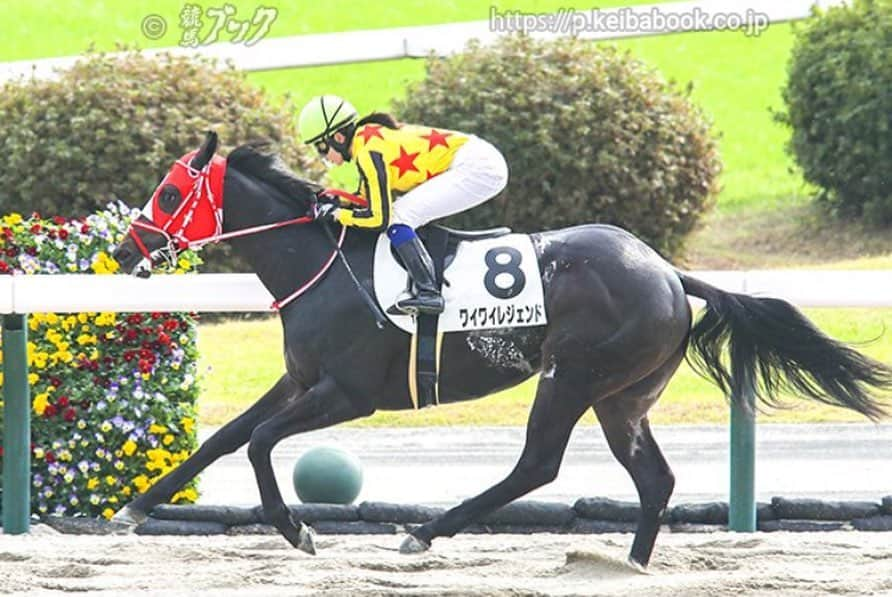 古川奈穂のインスタグラム：「土曜日、日曜日と福島競馬場で騎乗させて頂きました。 乗せてくださった関係者の皆様、応援してくださった皆様、ありがとうございました。  土・日で3勝をあげさせていただきました。 開幕週から沢山のチャンスを頂き、ありがとうございました！  ワイワイレジェンド号、グランツベリー号、マメコ号の関係者の皆様、ありがとうございました！！！ 最後まで踏ん張ってくれた馬達に感謝の気持ちでいっぱいです☺️  福島開催はあと２週続くので、しっかりと結果を出せるように頑張ります🏇  写真は競馬ブックさんにお借りしました🙇‍♀️  #福島競馬場  #ワイワイレジェンド  #グランツベリー  #マメコ」