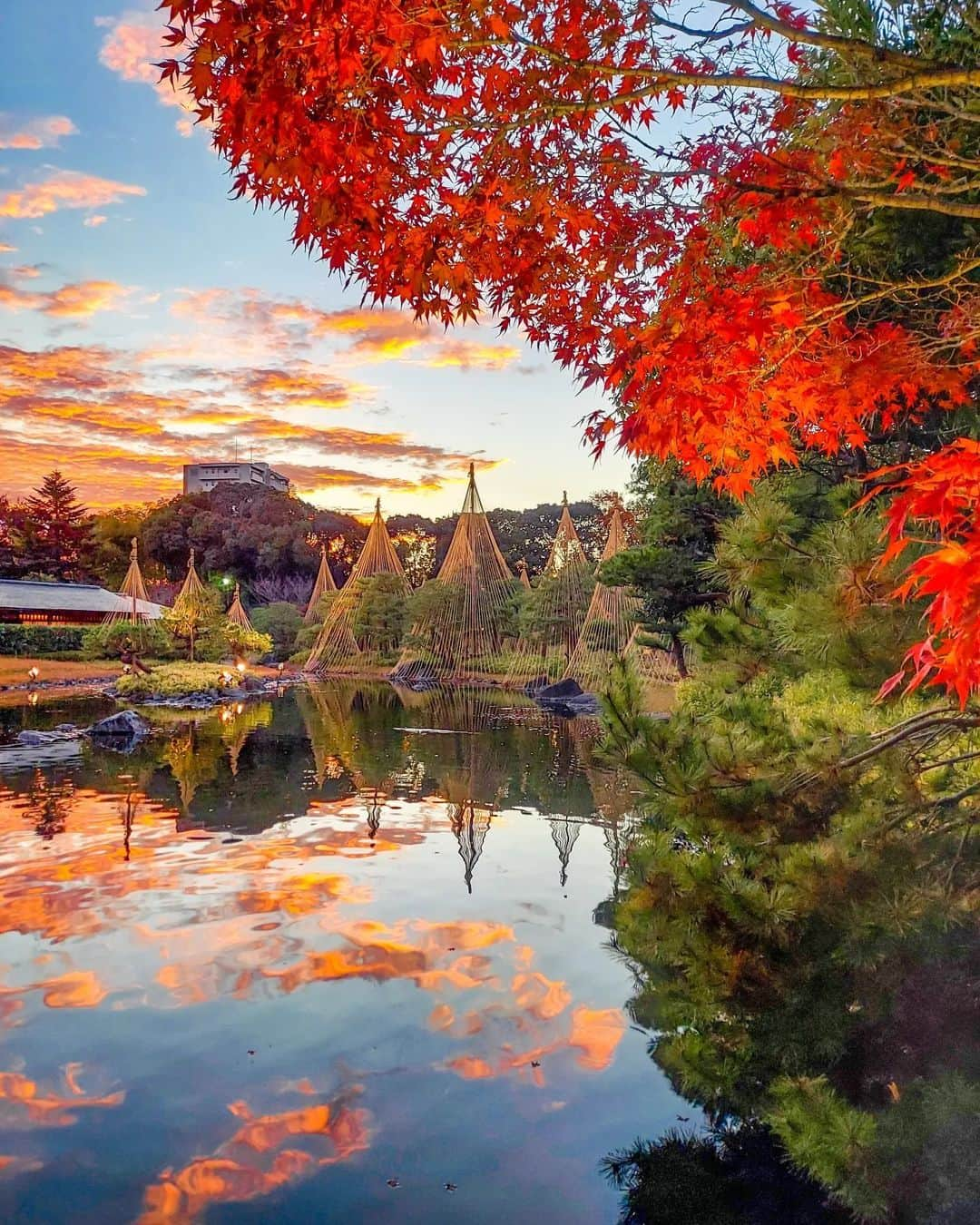 JALのインスタグラム：「. 紅葉と秋空のコラボレーション✨  愛知県・ #白鳥庭園 #WorldlyNovember  . . Photo by @yui_photo_1108 Post your memories with #FlyJAL  #JapanAirlines #JAL #travel #紅葉 #紅葉スポット #愛知 #愛知旅行 #もみじ #秋 #秋の風景 #秋空 #旅 #秋旅 #絶景 #絶景スポット #日本 #日本の絶景 #日本の風景 #国内旅行 #旅行 #日本航空」