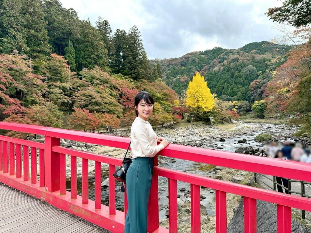 久保井朝美のインスタグラム：「🍁 少し早いけれど グラデーションが綺麗☺️  今週中頃から 冷え込みが強まるので 色づきが進みそうです✨  三川足助屋敷の 刀削麺美味しかった〜🍜  花より団子🍡 紅葉よりもみじ饅頭😋  #愛知県観光 #紅葉2023 #紅葉ドライブ #紅葉登山 #紅葉スポット #香嵐渓もみじまつり #香嵐渓グルメ #刀削麺 #もみじ饅頭 #久保井朝美 #気象予報士 #講演会講師 #家族小旅行」