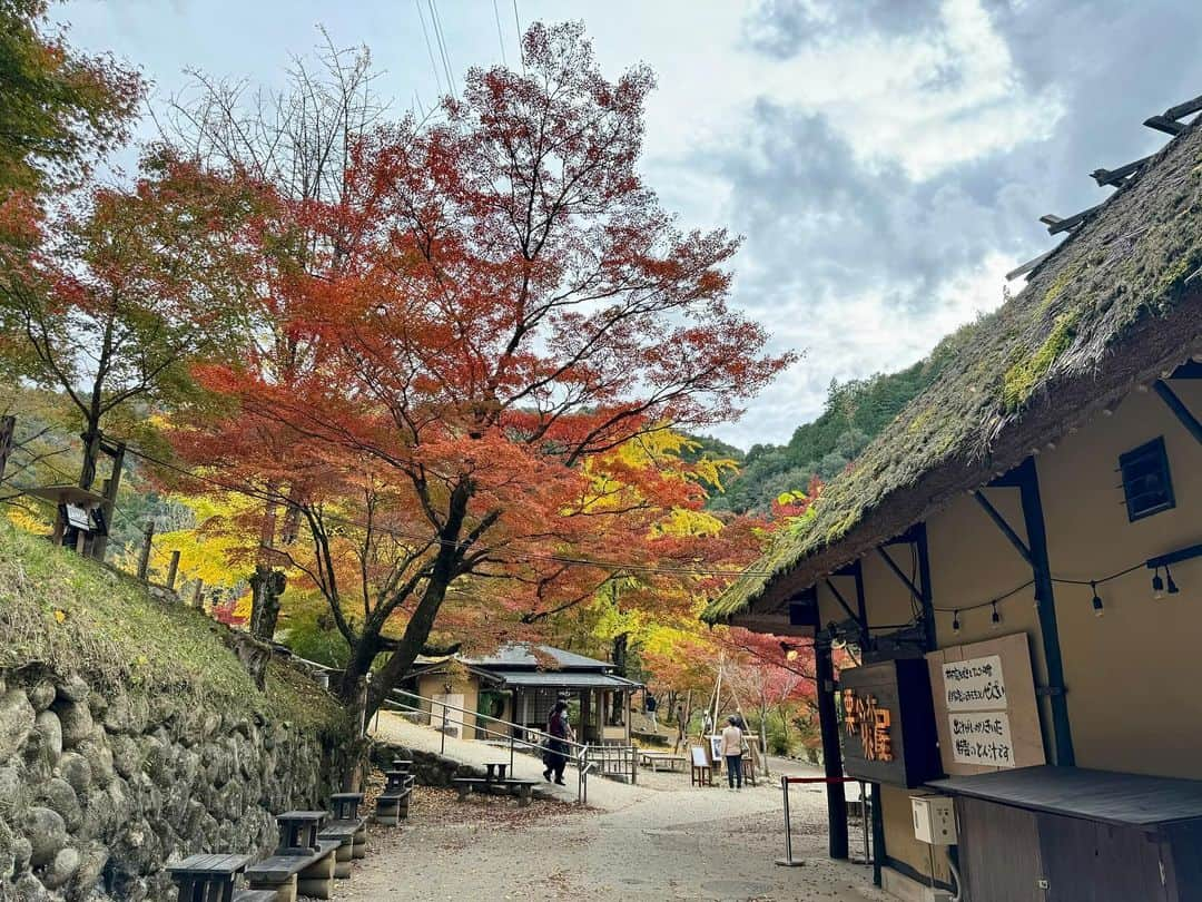 久保井朝美さんのインスタグラム写真 - (久保井朝美Instagram)「🍁 少し早いけれど グラデーションが綺麗☺️  今週中頃から 冷え込みが強まるので 色づきが進みそうです✨  三川足助屋敷の 刀削麺美味しかった〜🍜  花より団子🍡 紅葉よりもみじ饅頭😋  #愛知県観光 #紅葉2023 #紅葉ドライブ #紅葉登山 #紅葉スポット #香嵐渓もみじまつり #香嵐渓グルメ #刀削麺 #もみじ饅頭 #久保井朝美 #気象予報士 #講演会講師 #家族小旅行」11月6日 17時32分 - asami_k920