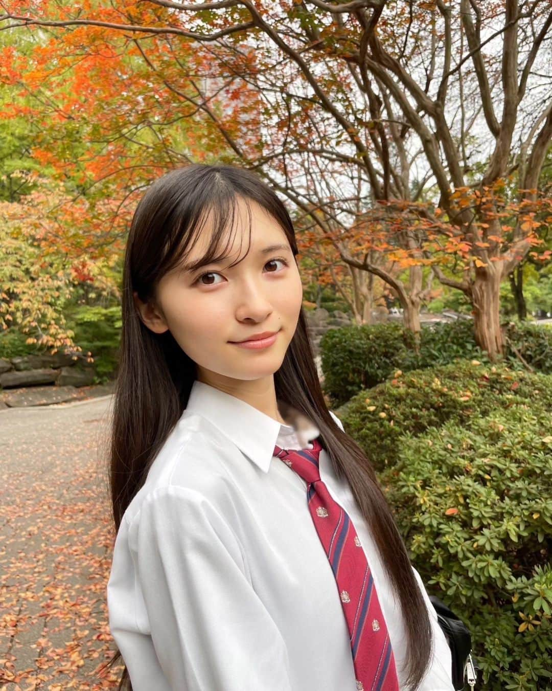 桧山ありすさんのインスタグラム写真 - (桧山ありすInstagram)「いつのまにか紅葉が綺麗な時期になってました！🫶🏻 秋らしい涼しい風も吹いていてとても気持ちよかったです♡  この日はハリーポッターコラボのサーティワンを食べました🍨 組み分けサンデーが食べたかったけど品切れ… 私はチョコとホグワーツハウスディライト🙌🏻 ミルクティー感が強くておいしかったー！おすすめです👍🏻  ちなみに私はハリーポッターだとシリウス・ブラックが大好きです💗  #桧山ありす #alice #jk #jk1 #fjk #07 #16歳 #サーティワン #ハリーポッター #紅葉 #制服コーデ #制服風コーデ #ネクタイ」11月6日 17時44分 - alice.hiyama