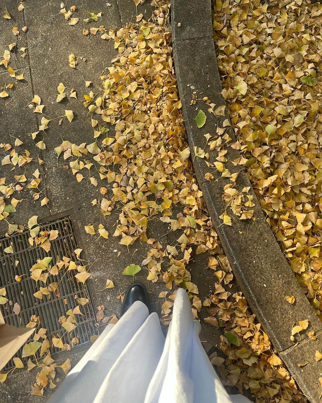新倉真奈美さんのインスタグラム写真 - (新倉真奈美Instagram)「monet展🎨  ヨーロッパの景色をモネの綺麗な色彩で 沢山見れてとても良かったです  上野公園が秋めいて来ていました🍂」11月6日 17時45分 - mana0809