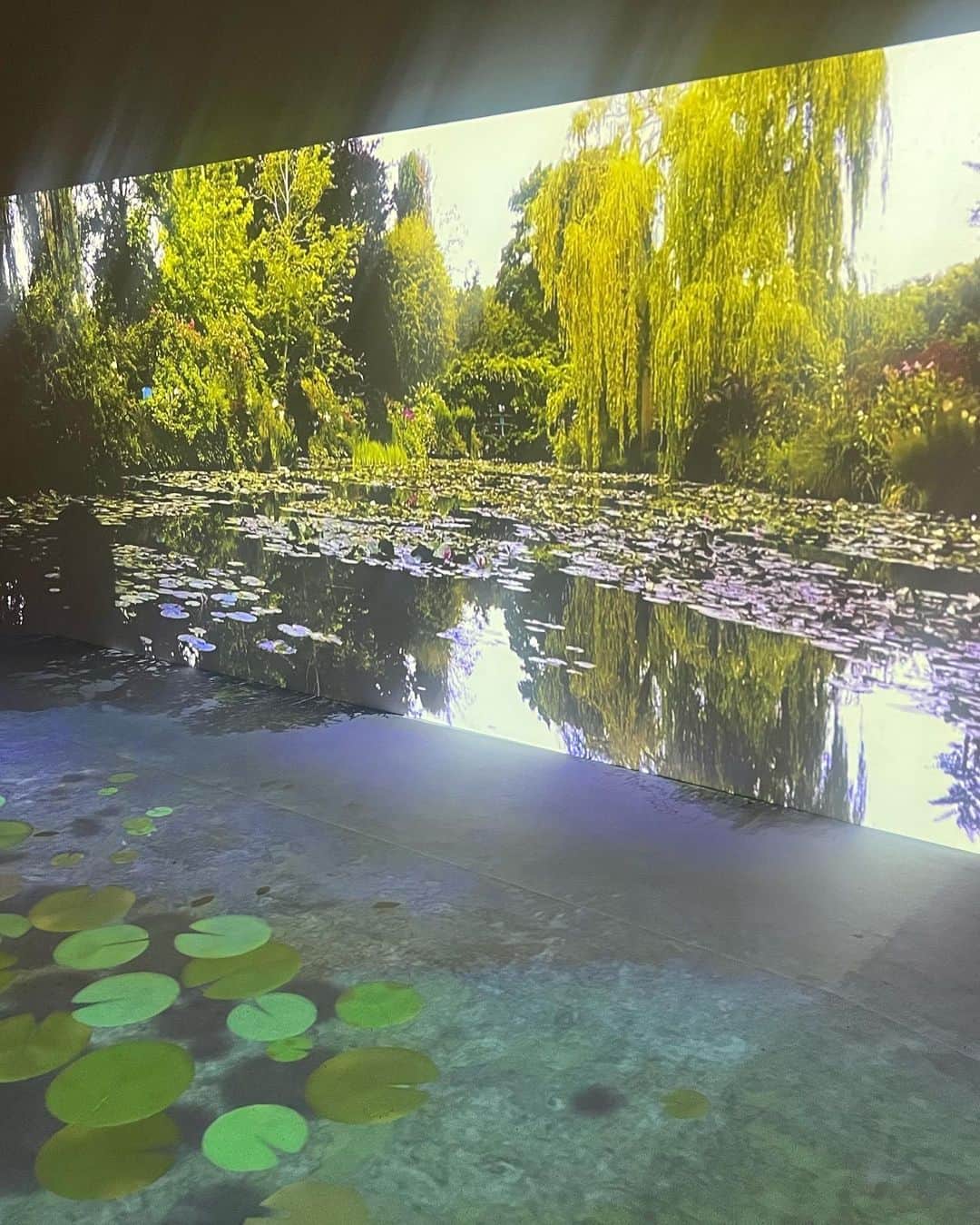 新倉真奈美さんのインスタグラム写真 - (新倉真奈美Instagram)「monet展🎨  ヨーロッパの景色をモネの綺麗な色彩で 沢山見れてとても良かったです  上野公園が秋めいて来ていました🍂」11月6日 17時45分 - mana0809
