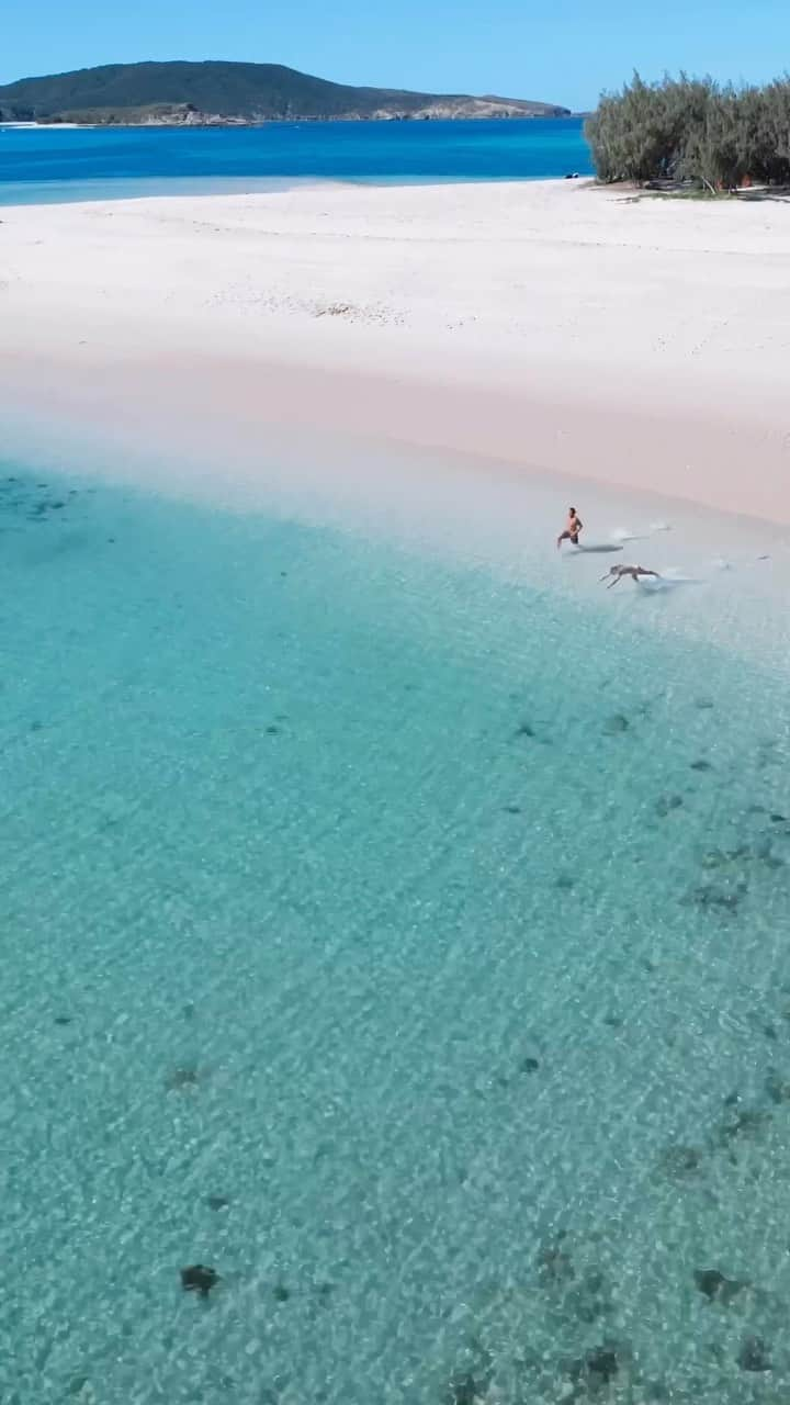 Australiaのインスタグラム：「Keppel all our plans…we’re off to #GreatKeppelIsland 🧳👒 Set in the iconic @southerngreatbarrierreef in @queensland, this sparkling jewel captured by @sandystrays is definitely one for the bucket list ✔️💙 Stay close to the action at @greatkeppelislandhideaway and spend days out on the pristine water among the turtles. If you’ve never tried boom netting, @freedomfastcats will take you for the ride of a lifetime - hold on tight to the net as you’re dragged through the ocean behind a soaring boat 🛥️   🎥: @sandystrays   📍: #GreatKeppelIsland, @sotherngreatbarrierreef, @queensland  #SeeAustralia #ComeAndSayGday #ThisIsQueensland #SouthernGreatBarrierReef  ID: Aerial views over an island surrounded by bright blue water, with white sand shores, green trees, a sprinkling of boats and people swimming in the ocean.」