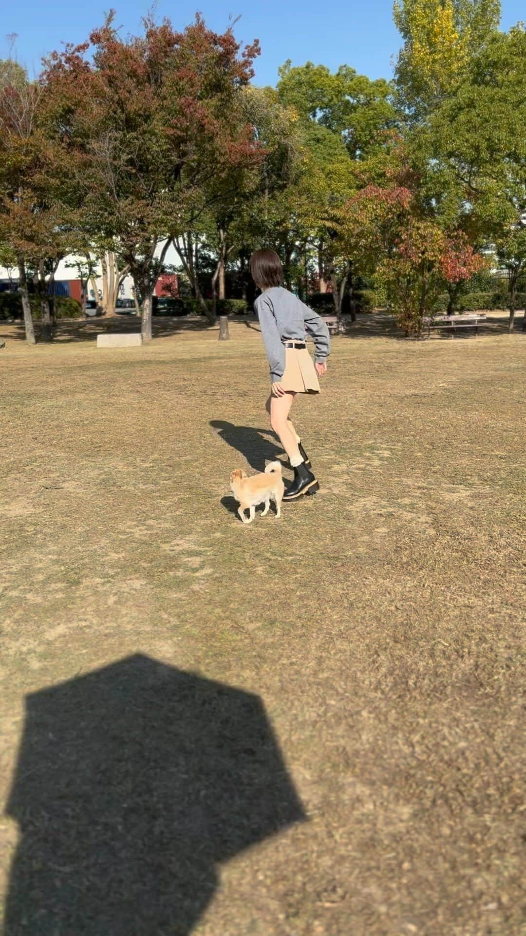 川口葵のインスタグラム：「. ルゥくんと妹とお散歩した日🐶👧🏻⭐️ おいでーって呼んだら来てくれる🤤  #ほのぼの」