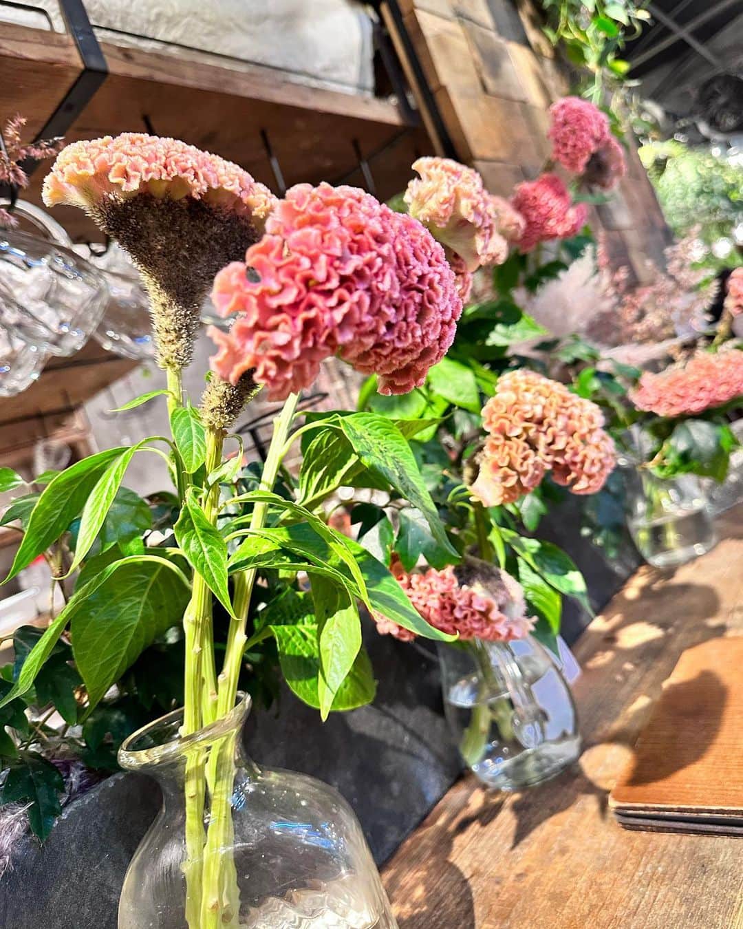井上ほの花のインスタグラム：「⭐️🐻  昨日までなんか暑いーって感じだったのに今日は涼しい ちょびっと寒いもん みなさん体調にはお気をつけて〜　　　  #ほの花とお花のツーショット」