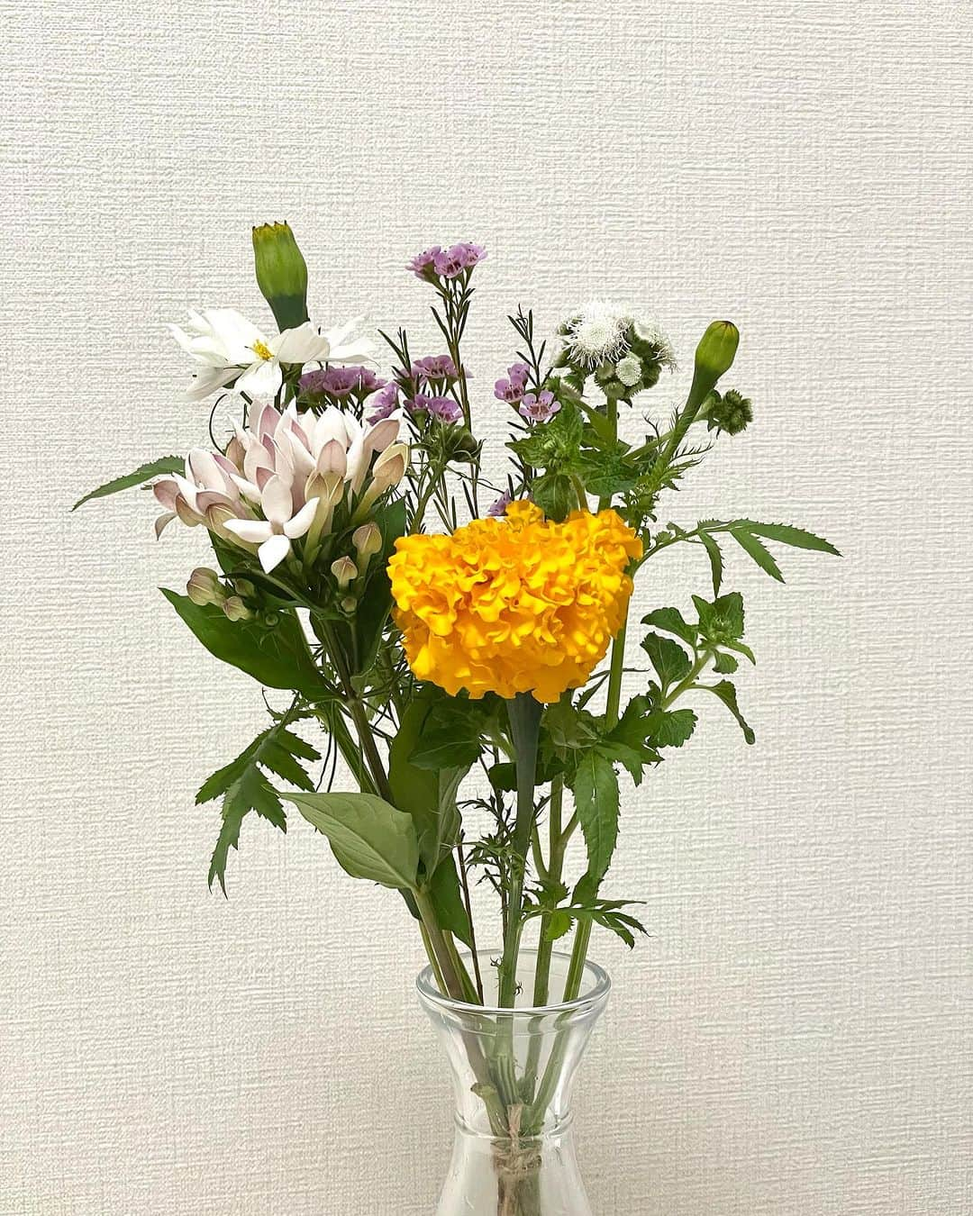 金子実加さんのインスタグラム写真 - (金子実加Instagram)「💐 Lui mi ha regalato un bouquet di fiori.  #flower #花 #フラワー #花 #花束 #bouquets #fleurs #bouquet」11月6日 18時45分 - kanekomika0127