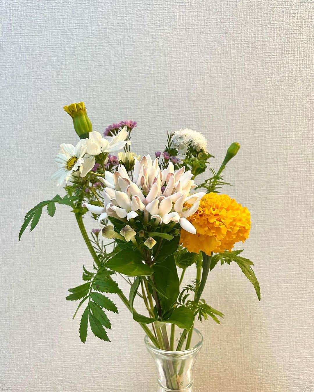 金子実加さんのインスタグラム写真 - (金子実加Instagram)「💐 Lui mi ha regalato un bouquet di fiori.  #flower #花 #フラワー #花 #花束 #bouquets #fleurs #bouquet」11月6日 18時45分 - kanekomika0127