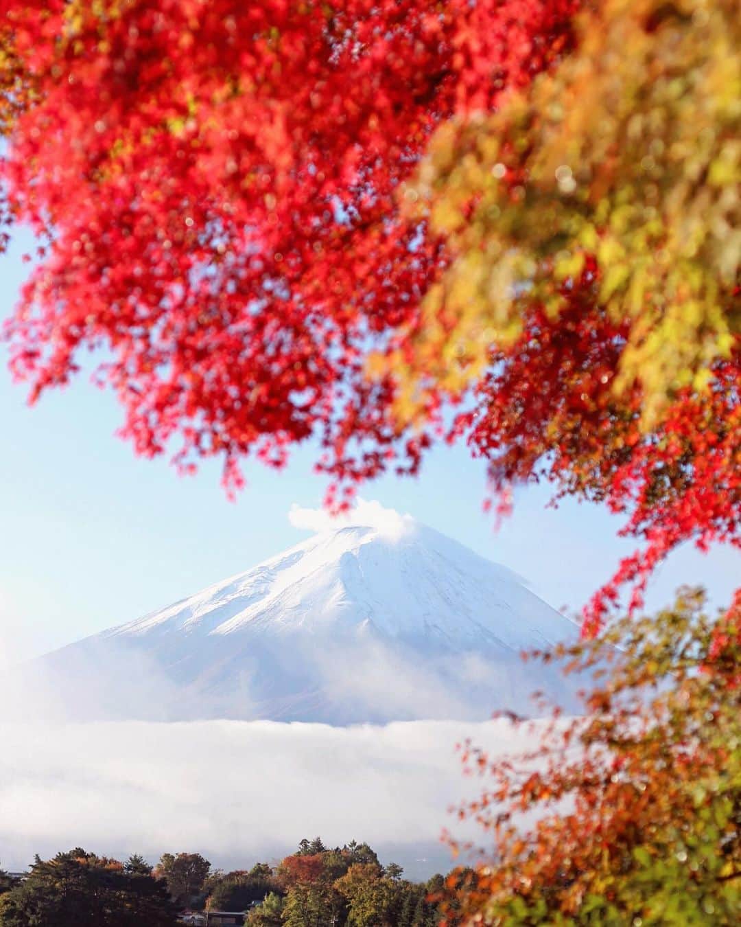 Sherryのインスタグラム：「ㅤㅤㅤㅤㅤㅤㅤㅤㅤㅤㅤㅤㅤ ㅤㅤㅤㅤㅤㅤㅤㅤㅤㅤㅤㅤㅤ 秋の富士山🍂🗻 ㅤㅤㅤㅤㅤㅤㅤㅤㅤㅤㅤㅤㅤ」