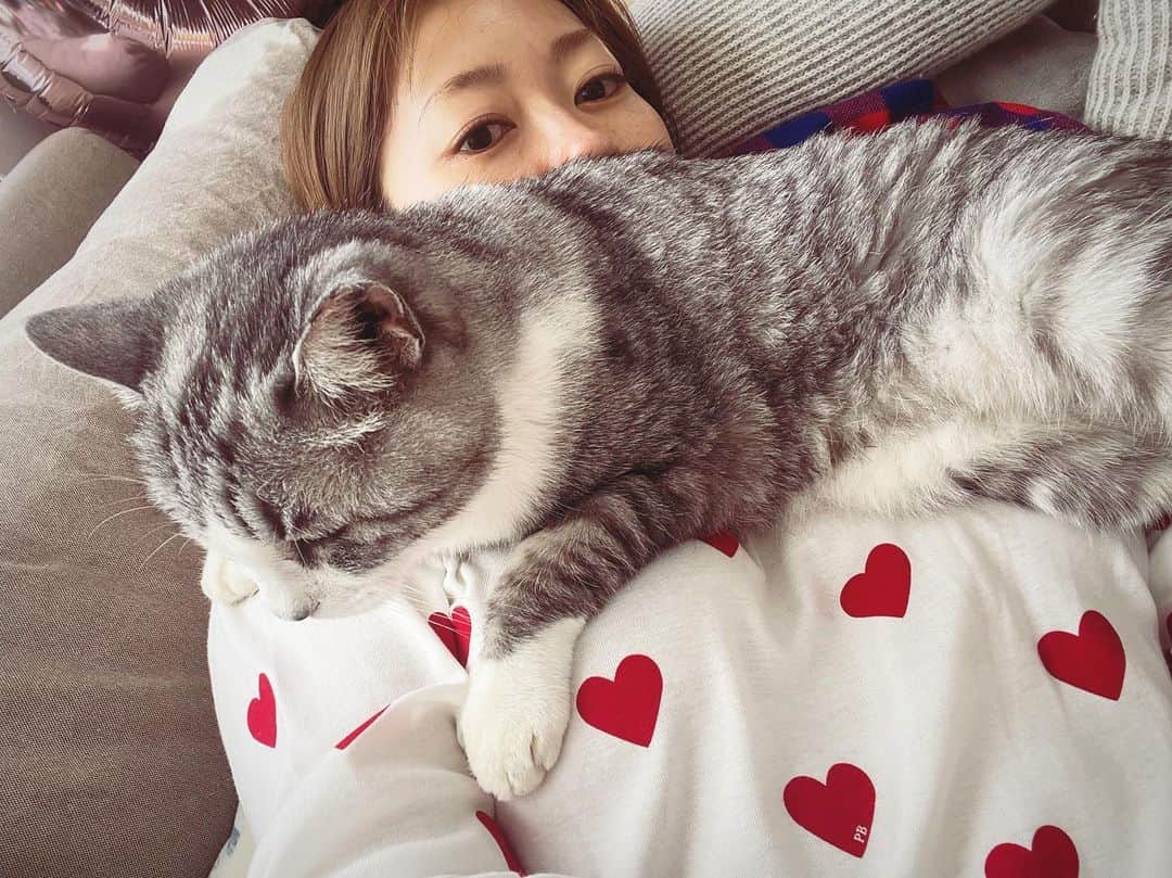 坂本美雨のインスタグラム：「重いしあわせ。  #cat #サバ美  （プチバトーのパジャマはなまこにあげたのが可愛すぎて何ヶ月も迷って結局マネをしたが、なんかちがう🌀）」