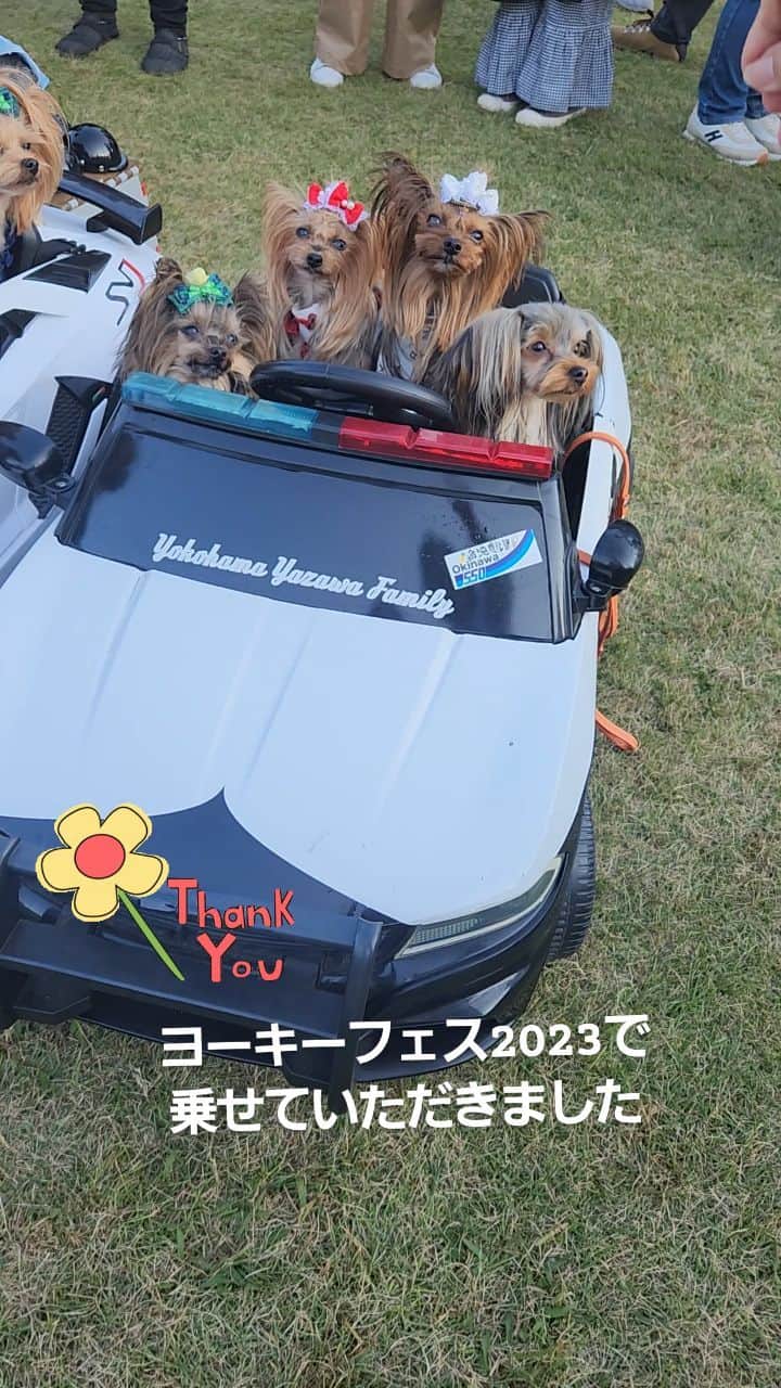 武東由美のインスタグラム