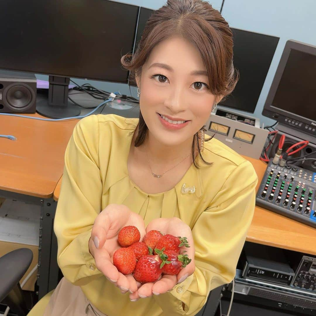 小宮山瑞季のインスタグラム：「先日とっても甘くて、香り豊かなイチゴをいただきました🍓 伊那市で作られている #恋姫 というイチゴです！！！  この時期にイチゴ？？！と思われるかもしれませんが、 これは夏秋いちごといって、 主に収穫が難しいとされる 夏から秋に出荷されるイチゴのこと😎✨  まだ全国でも珍しいそうですが、 それが伊那で栽培されていると知り、 作っている苗香屋さんを取材させていただくことに☺️💓  恋姫とはどんなイチゴなのか(🍓)？ 栽培の難しさやそもそもどうして夏秋いちごだったのか…など ここまでの歩みといちごの魅力に迫ります★ 放送はあす！7日のごご06:09～  #NBSみんなの信州 で♩  このご縁をくださった浜このみさんにも感謝…😭♥️ ありがとうございます！！！   #伊那市  #ina  #いちご  #strawberry  #夏秋いちご  #いちご栽培  #苗香屋  #伊那バス  #グループ  #浜このみ  さん  #ありがとうございます  #素敵なご縁  #みんなの信州  #明日放送  #是非ご覧ください  #長野放送  #アナウンサー  #小宮山瑞季」