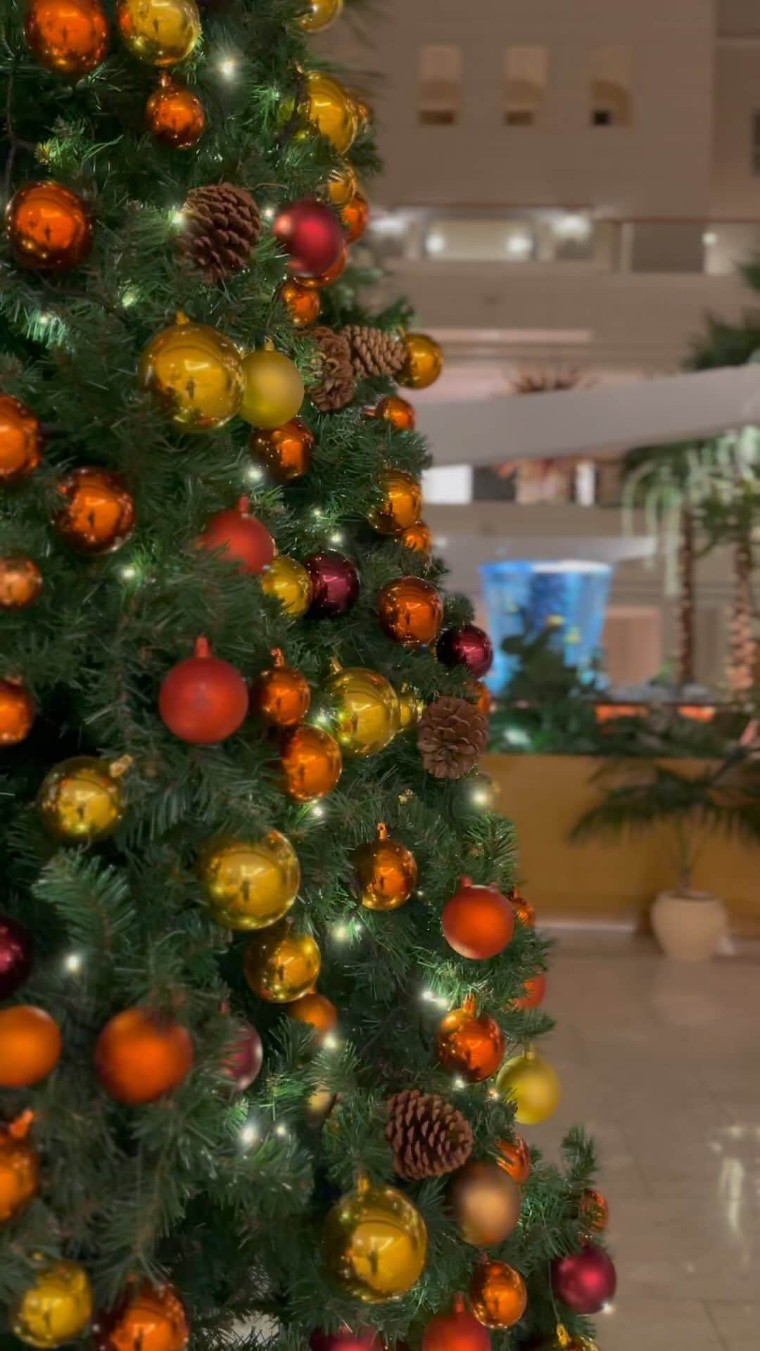 フェニックス・シーガイア・リゾートのインスタグラム：「シェラトン1階にクリスマスツリーが登場しました🎄 きらび やかなオーナメントが高さ約5ｍのツリーを華やかに彩ります。 フォトスポットとしてもおすすめです🪅  ■期間 / 11月1日（水）～12月25日（月） ■場所 / シェラトン 1階パシフィカ前  #シーガイア #シェラトングランデオーシャンリゾート #クリスマスツリー #クリスマス #リゾートなひととき #宮崎旅行」