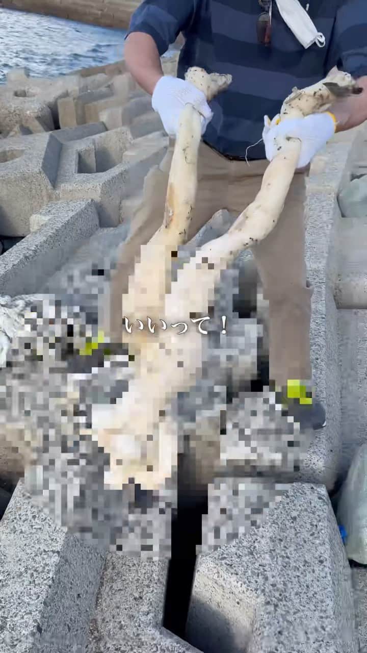 そば湯のインスタグラム：「【閲覧注意】海でヤバいものを発見…」