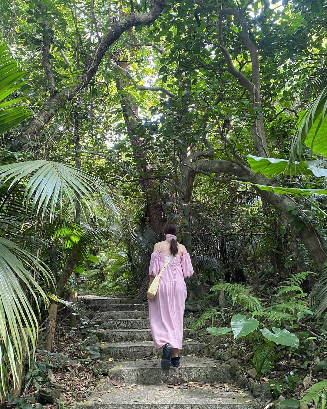 和田瞳のインスタグラム：「米原のヤエヤマヤシ群落へ🌴‎‎🤍 なんか後光浴びるショットも撮れた、運気良さそう！！  ここの駐車場の近くで生搾りのサトウキビジュース飲んだの、甘味料使ってないのに自然の甘みでこんなにも甘いの感動した～🥰  dress : #Chico sandals : #NIKE #airmaxkoko bag : #MARNI headdress : #lattice」