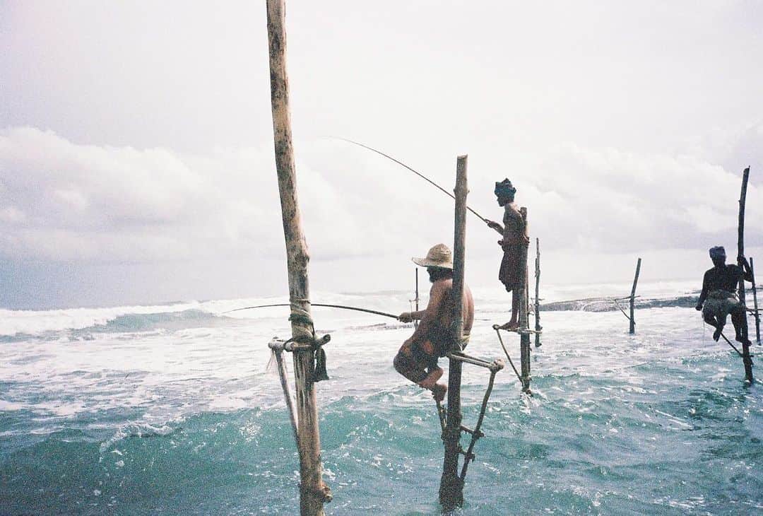 イモトアヤコさんのインスタグラム写真 - (イモトアヤコInstagram)「・ スリランカにお供していた フィルムカメラ 現像してみた  #ホテルにて #伝統漁 #茶畑 #葉山の海  #contaxt3  いい感じ」11月6日 19時48分 - imotodesse