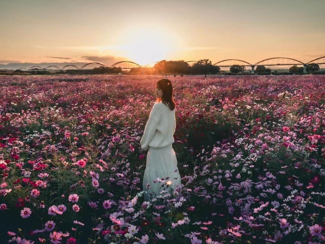 佐藤茜さんのインスタグラム写真 - (佐藤茜Instagram)「🩷  何枚目が好き？❁  📸 : @waaata_photo」11月6日 20時03分 - rosy__cloud