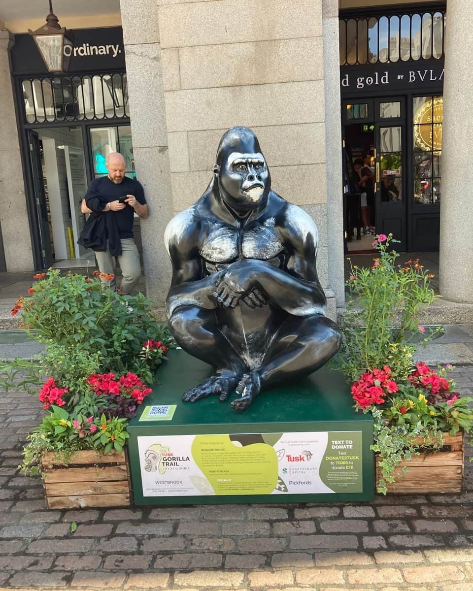 ロン・ウッドのインスタグラム：「After a summer on the prowl in @CoventGardenLDN my #TuskGorillaTrail sculpture, Paint It Black, is now set for auction on 20th November, with bidding opening November 1st. The Trail was curated by Chris Westbrook @westbrookgallery and featured works from some incredible contemporary artists. You can view lots and register to bid at auction.tuskgorillatrail.com. All proceeds will support the work of @Tusk_org in protecting gorillas, their habitats and other vulnerable species across Africa.」