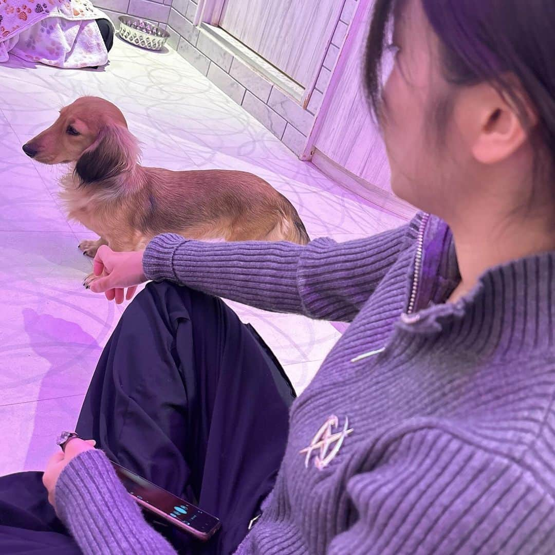 馨君さんのインスタグラム写真 - (馨君Instagram)「ヴァロの大会見に行って僕の家泊まってプリクラと犬カフェ  #トメィトゥ  #馨くん  #コスプレイヤー  #コスプレ女子  #コスプレイヤーの中身  #anime  #東京観光  #犬カフェ  #女子会」11月6日 20時13分 - kaworu_331