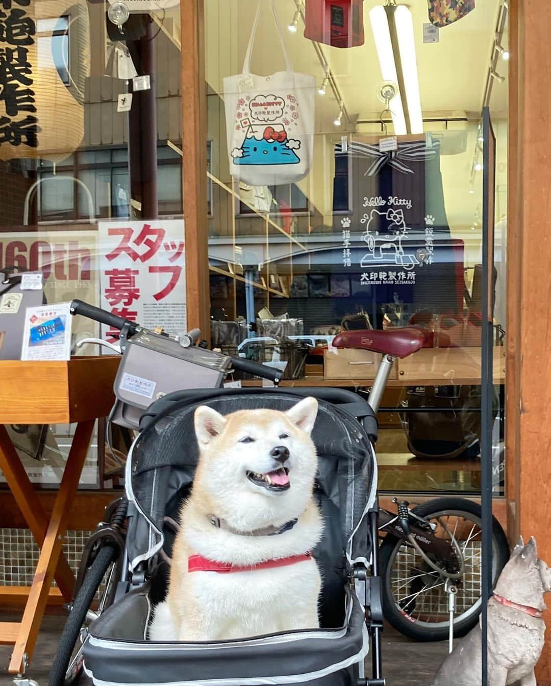 てんパパさんのインスタグラム写真 - (てんパパInstagram)「昨日は、おさんぽバッグリニューアル、お墓参りなどで、久々都心方面へ。 #犬印鞄製作所 #合羽橋道具街 #東京スカイツリー」11月6日 20時14分 - tenchan.shiba