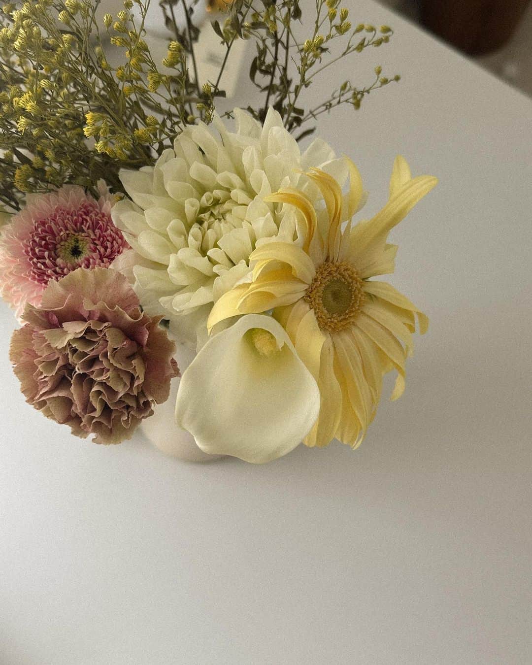 蓮音さんのインスタグラム写真 - (蓮音Instagram)「お花を買って帰った日。💐 家に緑とかお花とかがあるだけで モチベも生活水準も上がるような気がするので、定期的にご機嫌取り🤏🏻」11月6日 20時14分 - 09hasu
