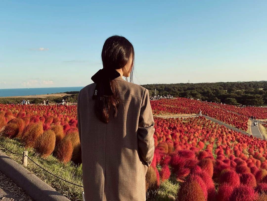 霧島れいかさんのインスタグラム写真 - (霧島れいかInstagram)「ほとんどの出会いは 点と線みたいなもので ある映画のように 後に面白いくらいに伏線が回収される。 そう深く感じることが多いこの数年。 そしてその伏線が回収されたとき、 自分は何に気づくことができるのか。 ストン、と腑に落ちたとき、 自分の中の何かが光り輝き出す。 一つ一つを見逃さないように外側も内側も 見つめ直すことの大切さを 改めて思うのでした。 残り約2ヶ月、楽しみながら来年の準備♪  #relax #perfect」11月6日 20時22分 - reika_kirishima