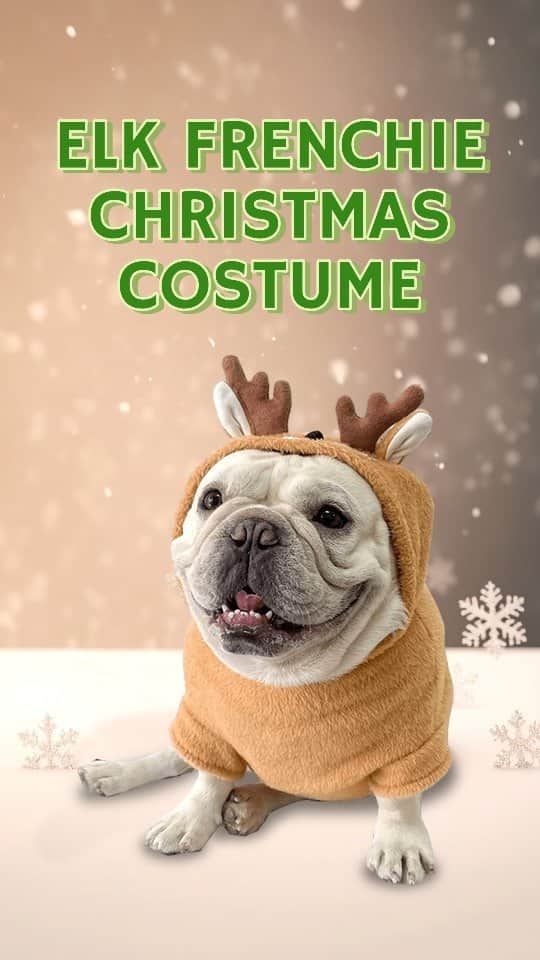 French Bulldogのインスタグラム：「🔥NEW ARRIVALS DAILY🔥 Elk French Bulldog Christmas Outfit 🦌🐖  👉🏼 Holidays are coming! Besides Santa Claus, who's gearing up for the season, our four-legged friends are also getting in on the festive action! 🤍❄️  👉🏼 Quality is at the heart of our French Bulldog Xmas Outfits. This fuzzy French bulldog sweater is not only stylish but also designed to last. 🎄🛍  👉🏼 We understand the playful nature of French Bulldogs and have designed our Christmas outfits to withstand their energy. 🎁💝  . . . . .  #frenchie #frenchies #frenchbulldogs #frenchbulldog #doglover #frenchiesofinstagram #frenchieoftheday #pupsofinstagram #pupstagram #frenchiegram #frenchielovers #frenchielife #frenchiefriends #frenchpuppy #frenchiemania #frenchiedaily #frenchietalk #frenchiesquad #frenchiemom」