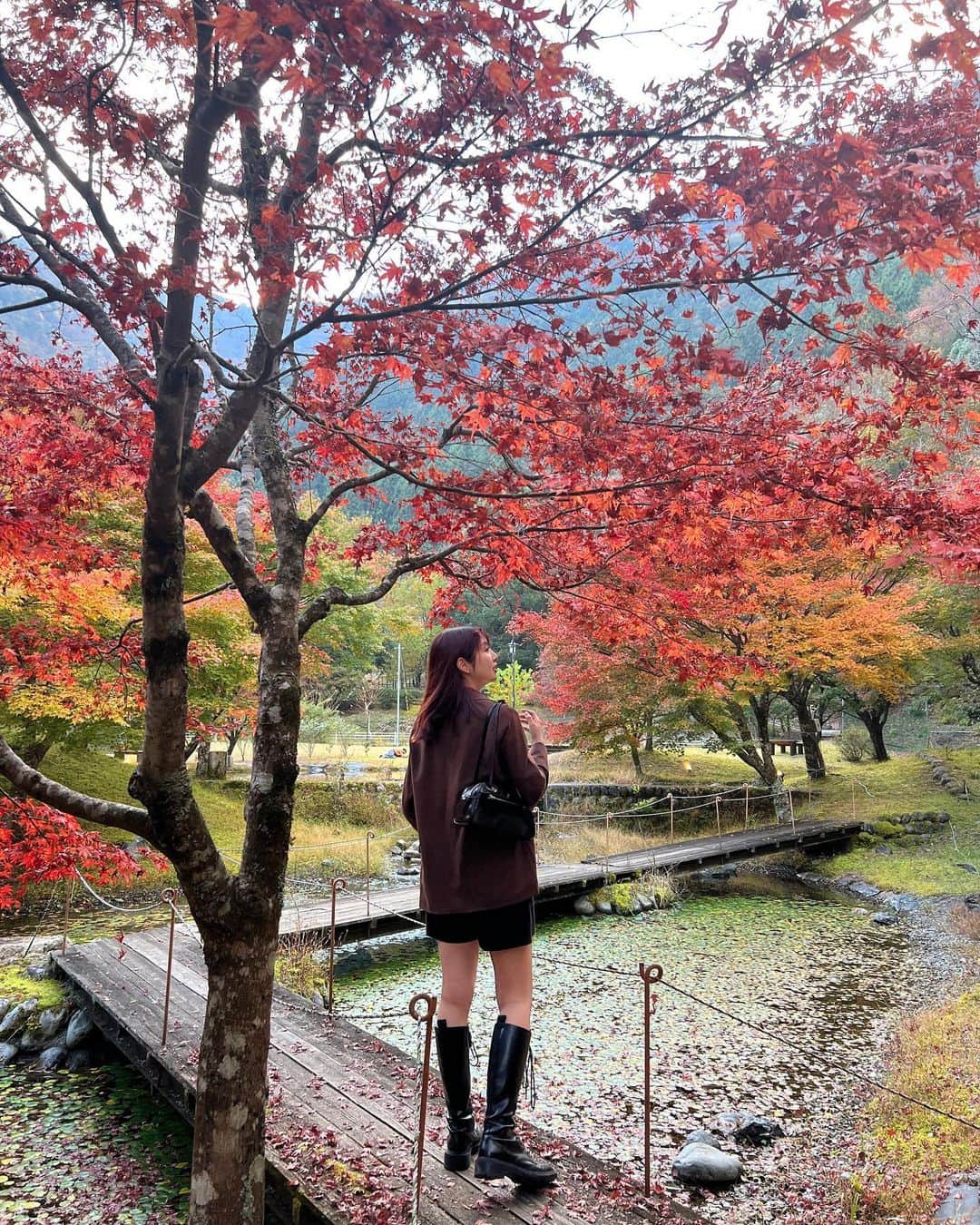 青島妃菜さんのインスタグラム写真 - (青島妃菜Instagram)「단풍〜🍁」11月6日 20時25分 - hina1226_01