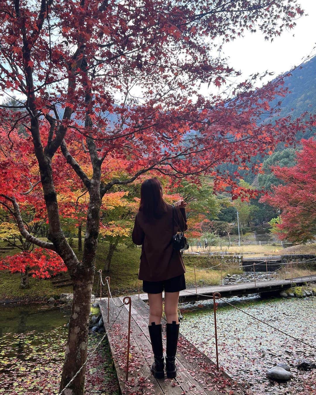 青島妃菜さんのインスタグラム写真 - (青島妃菜Instagram)「단풍〜🍁」11月6日 20時25分 - hina1226_01