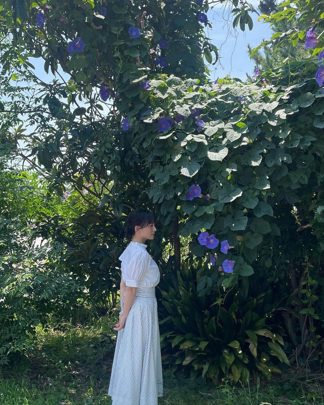 清井咲希さんのインスタグラム写真 - (清井咲希Instagram)「☁️🌿✨🌱☀️🫧🍀  自然っていいね  #生写真#撮影#fashion#green #自然#スカート#夏#おでかけ#さきてぃ#清井咲希 #スターダストプロモーション」11月6日 20時31分 - kiyoisaki_official