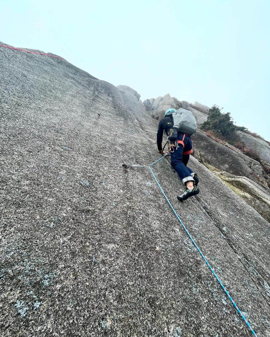 渡部桂太のインスタグラム：「御在所岳⛰️前尾根 紅葉を感じながら楽しく登ることができました🍂  普段のクライミングはハードプッシュばかりですが 難易度を求めず、景色を楽しみながら登ることができ 良いリフレッシュになりました😄  古くから沢山のクライマーに登られてきた御在所 まだまだ開拓の余地もあるらしく😏 また帰省した時は違うルートを登りたいな〜  今回の機会を作って頂いた @chamonix_climbingshop  @asa.nyanko  @yugo.w_mt  皆さんありがとうございました♪  #三重県  #御在所岳  #前尾根  #マルチピッチ  #アルパインクライミング  #クライミング #climing  #climing_pictures_of_instagram   @lasportivajp  @wise.official.japan  @newhale_climbing」