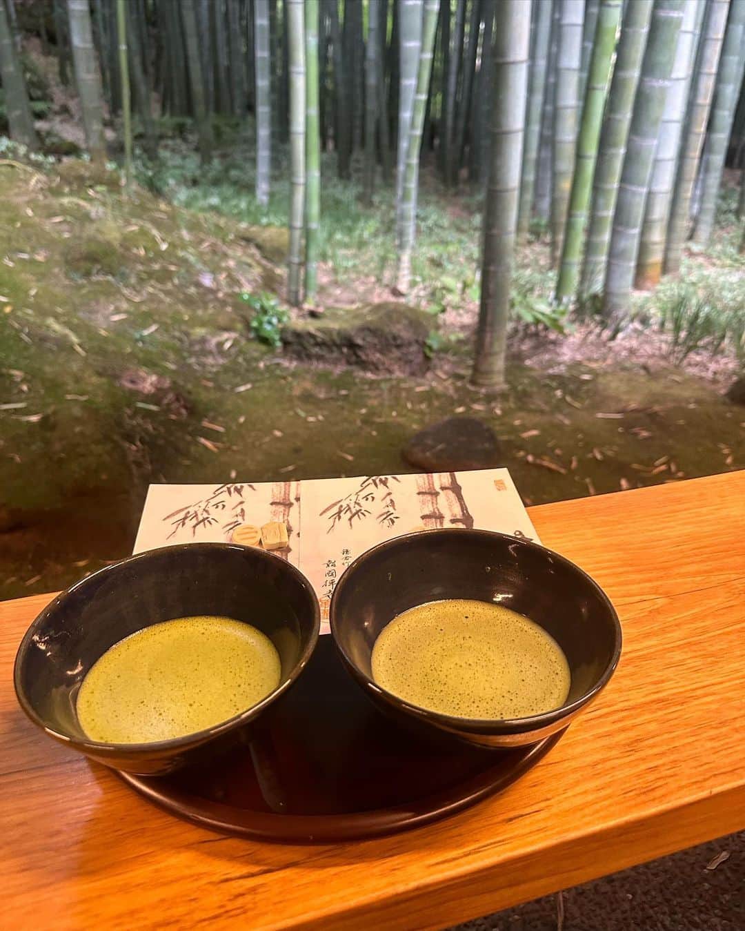 松川星さんのインスタグラム写真 - (松川星Instagram)「⁡ 緑がいっぱいのところ行くと パワーもらえる🎋🍃 久々にお抹茶も飲んだ ︎︎︎︎︎☺︎」11月6日 20時42分 - akarin__rin