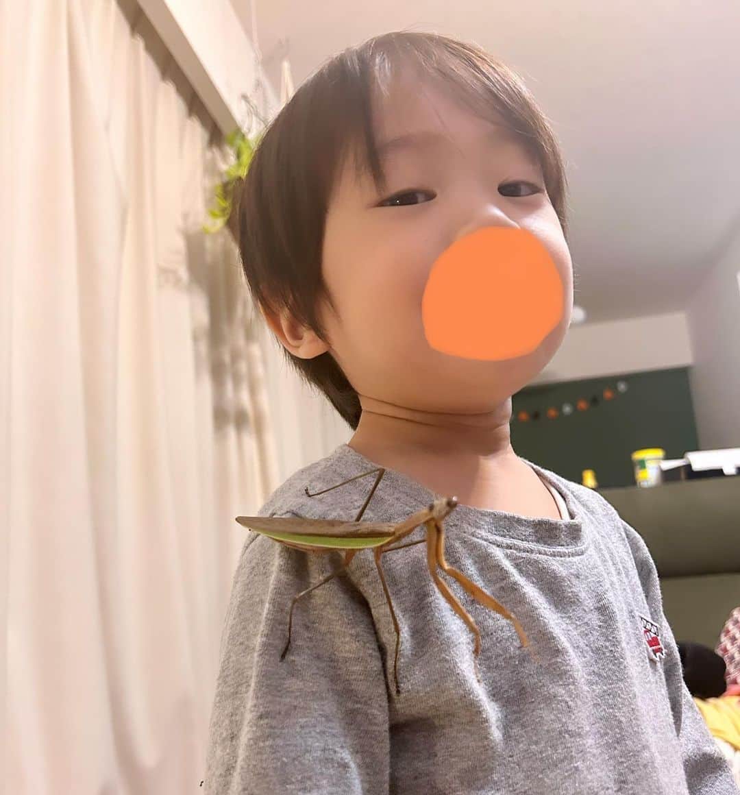 呂布カルマのインスタグラム：「大カマキリボーイ」
