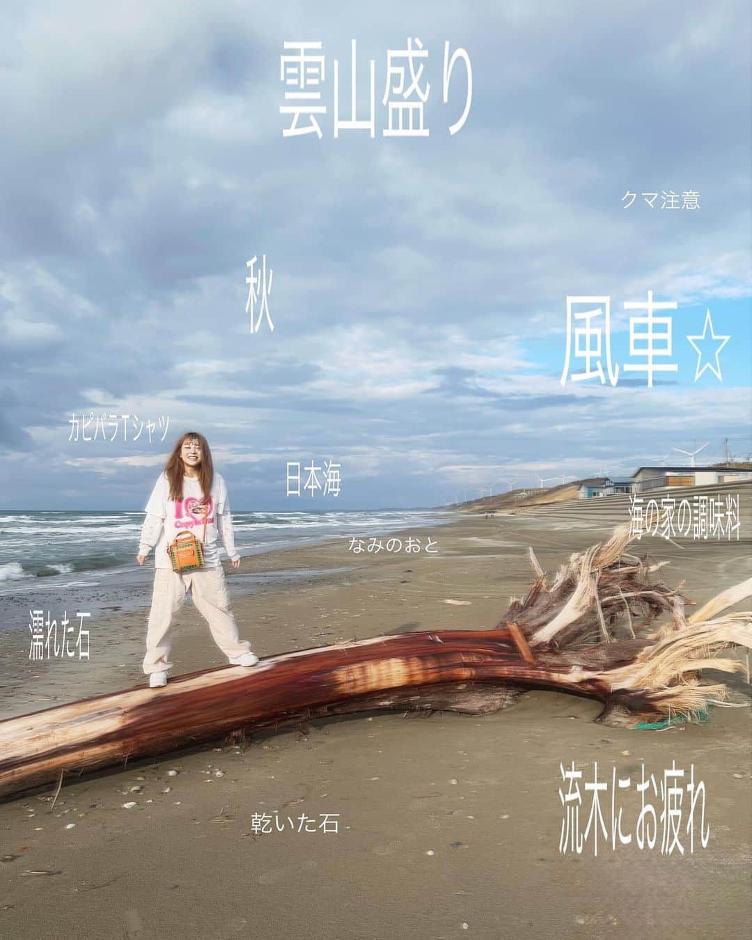 野村舞鈴のインスタグラム：「流木にお疲れ  #日本海#海#流木#カピバラ#capybara」
