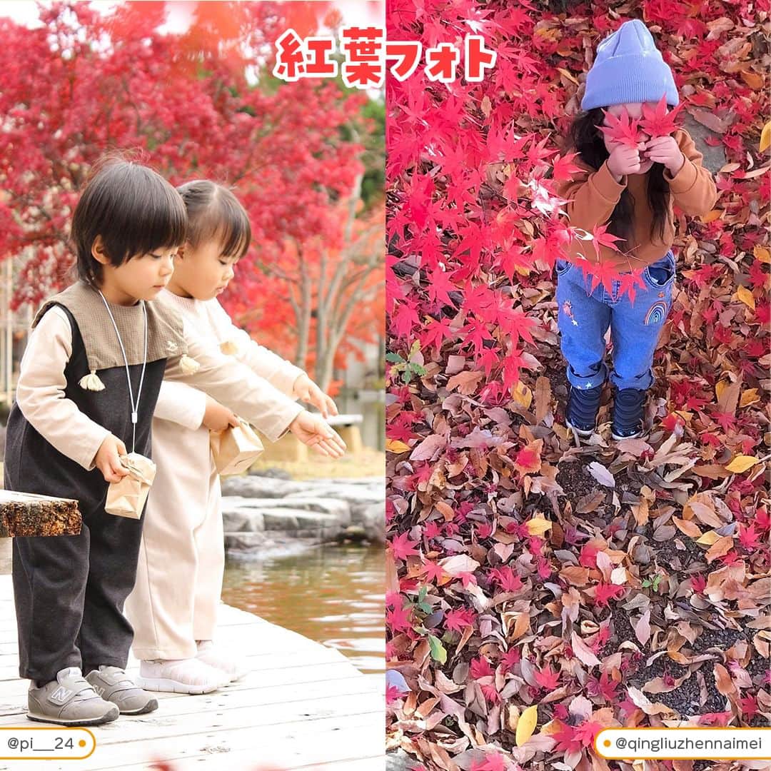 otowa (フォトワ)さんのインスタグラム写真 - (otowa (フォトワ)Instagram)「【真似したいと思ったら🍂（はっぱ）で教えて下さい😊】  @fotowa.jp　←他の秋の投稿はこちらから🍠 ・ 行楽の秋ですね！ 少しずつ過ごしやすくなってお出かけする方も 増えてきたのではないでしょうか？ ・ 今日はそんな秋のおでかけ写真を集めました！ ・ 近くの公園のおでかけでも、シーンを切り取ると とっても素敵です♪ 葉っぱやドングリで遊ぶシーンも残したいワンシーン！ 日暮れが早くなってきた今のシーズンの夕焼けフォトも とっても素敵ですよね💕 ・ 秋っぽいいろいろな撮影タイミング、 ぜひ見逃さないでくださいね✨ ・ 撮影した写真は #子育てグラマー で教えて下さい😊 いつも素敵な写真をたくさんありがとうございます💖 ・ 素敵な投稿をリポストさせていただき、ありがとうございました✨⁠  @aigram.57 @pi___24 @qingliuzhennaimei @__h.s__89 @rico_r00m @miina_sumire @ari_asu @_hana_to_yuki_ @kinbozu.camp @eri07_02  ---------------------------------------------------  「fotowa」はお子さまやご家族の記念写真を全国どこでも出張で撮影するサービスです🌟   公式Instagramアカウントでは、子ども・家族撮影に関する様々なお役立ち情報を 発信しています！ みなさまが撮影したお子さまのお気に入りのお写真は 「 #子育てグラマー 」をつけて投稿してくださいね📷   ご質問・お問い合わせはfotowa公式サイトからお願いします ✍🏻  ---------------------------------------------------  #fotowa #フォトワ #出張撮影 #公園遊び #紅葉 #育児記録 #何気ない日常 #何気ない瞬間を残したい #落ち葉 #落ち葉遊び #子どものいる暮らし #落ち葉の絨毯 #ベビスタグラム #赤ちゃんのいる暮らし #お出かけ写真 #どんぐり #芋ほり #コスモス畑 #秋写真 #秋 #行楽シーズン #紅葉狩り #公園 #キャンプ #ママスタグラム #家族写真」11月6日 21時05分 - fotowa.jp