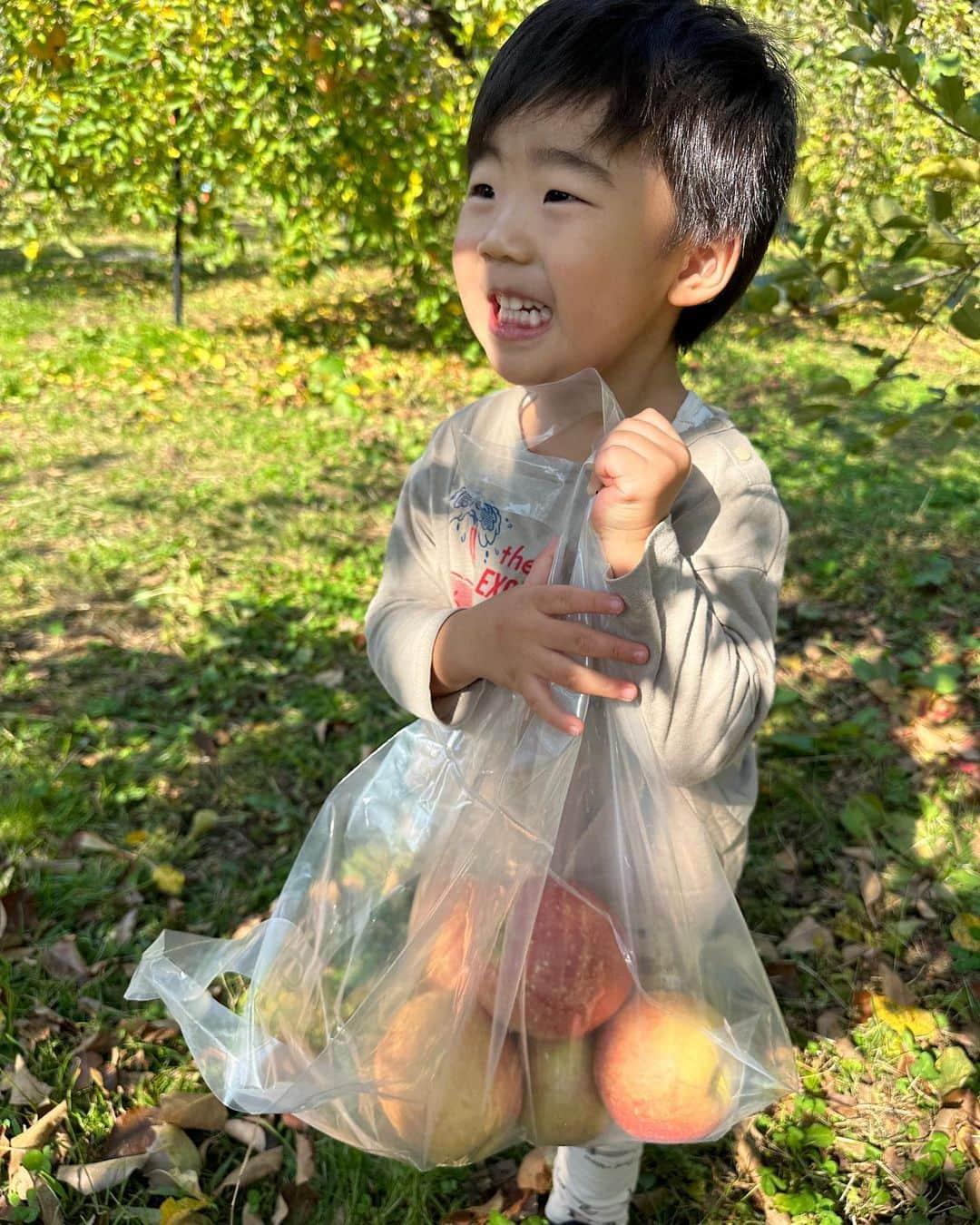 林藍菜のインスタグラム：「毎年恒例！山田のりんご🍎狩りにいってきました。 たわわに実った中から、 お気に入りを見つけてもぎとって、その場でガブリ。 ん〜これがもうたまらないのです☺️  美味しい🍎今年もごちそうさまでした。 @yamadanoringo  #山田りんご藤田農園 #山田りんご #りんご狩り #とれたてりんご」