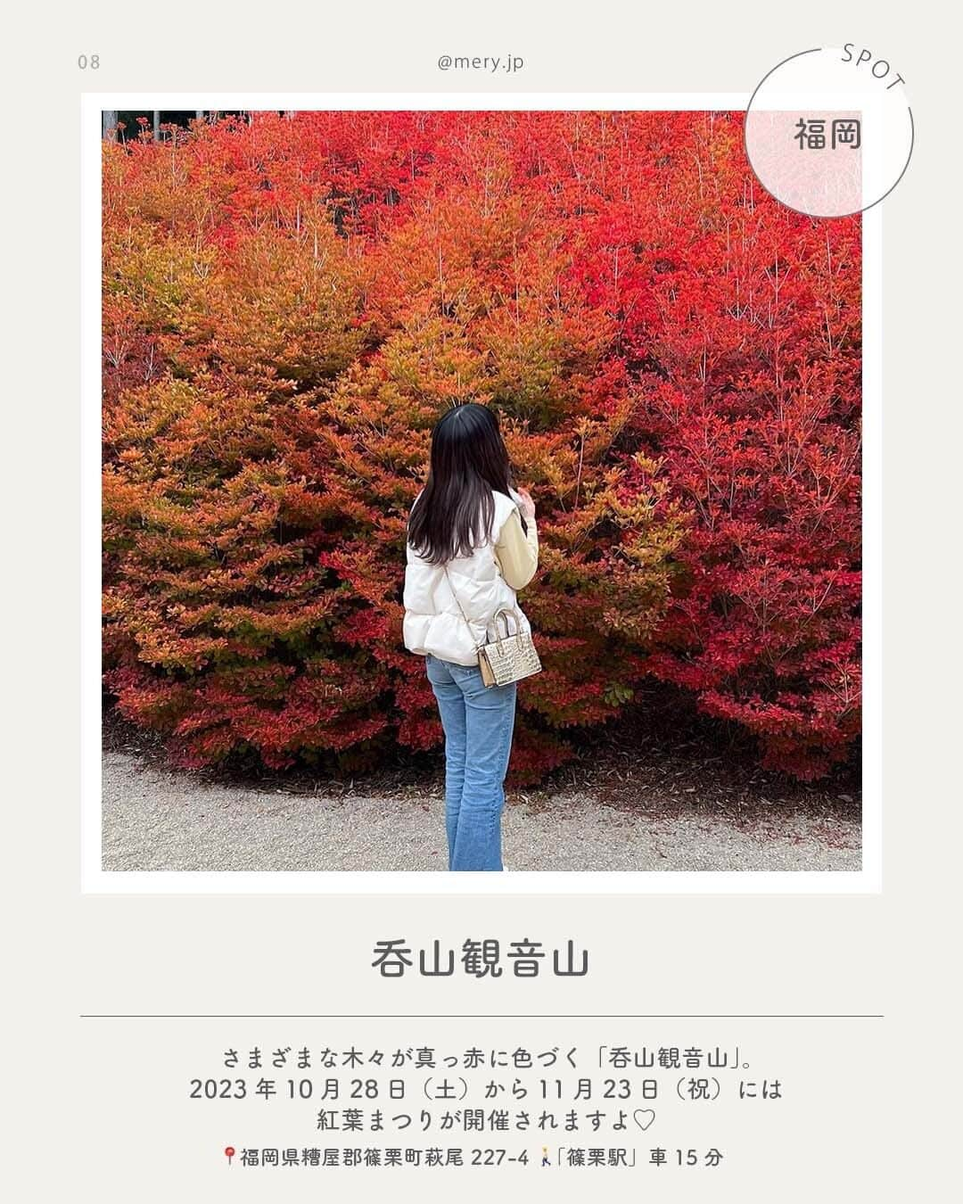 MERYさんのインスタグラム写真 - (MERYInstagram)「美しい秋色に染まる季節🤎【全国】紅葉スポット8選  そろそろ本格的にモミジやイチョウが色づく季節🍂 今回は全国の紅葉スポットをご紹介します🧸🍁  秋のおでかけ・デート・おさんぽにぜひ足を運んでみて🔑  ♡｜全国の紅葉スポット  #定山渓（ @jozankei.trip ｜北海道） #トーベヤンソンあけぼの子どもの森公園（ @akebono_hanno ｜埼玉） #湯沢高原スキー場アルプの里（新潟） #雲場池（長野） #清水寺（ @feel_kiyomizudera ｜京都） #千畳閣（広島） #久万高原ふるさと旅行村（ @kuma_furusato ｜愛媛） #呑山観音山（ @nomiyama_kannonji_official ｜福岡）   photo by @mocagoto @emi.mistress @saaa_min65 @manyo_wt @r.kaaa @moe_matsui @kurumilk_1021 @h1npi7  MERYでは他にも「かわいい」に近づけるさまざまな情報を発信しています。⁣ @mery.beauty コスメ・美容に特化した情報をお届け♡ @mery_giftsalon 選りすぐりのギフトを提案🎁 こちらもぜひチェックしてみてください！⁣  #あけぼの子どもの森公園 #湯沢高原スキー場 #アルプの里 #紅葉 #もみじ #紅葉狩り #もみじ狩り #紅葉スポット #紅葉デート #紅葉コーデ #イチョウ並木 #イチョウ #イチョウの木 #イチョウの葉 #イチョウブーケ #イチョウの絨毯 #秋の風景 #秋の景色 #いちょう並木」11月6日 21時00分 - mery.jp