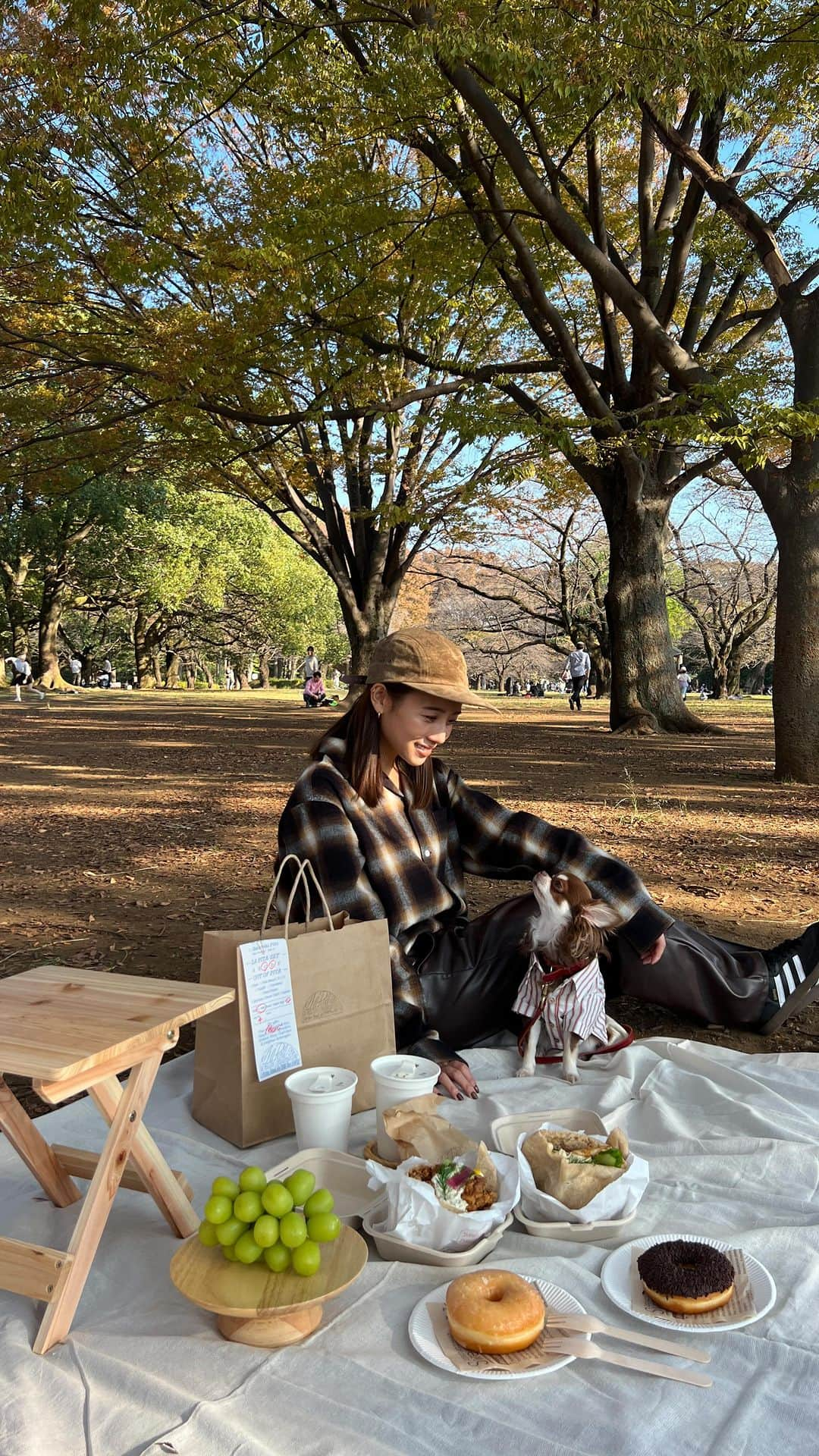 伊原葵のインスタグラム：「ピクニック🧺🥙☀️  ピタサンドをテイクアウトして、代々木公園で✨ えりながフルセット持ってきてくれて〜 いいピクニックになった♡ありがとう♡  1番いい気候にできてサイコーやった🥹  シェリーも楽しそうに眠そうにしてた😂👏  あと一回くらい寒くなるまでにできるかな〜！！  #ピクニック」