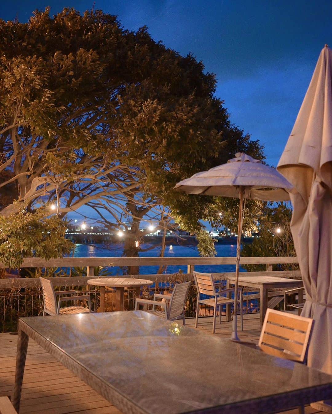 MEGさんのインスタグラム写真 - (MEGInstagram)「⌇ suncafe.paradise enoshima  何年か前からずっと気になってたカフェへ。 江ノ島マリーナ内にあるトレーラーハウスカフェ。 珍しい植物に囲まれて海が目の前で寛げる居心地の良い場所。 静かでのんびりできるから定期的に行きたい。  Open : 11:00-18:00 Closed : Tuesday   📍神奈川県藤沢市江の島１丁目２   #江ノ島カフェ #カフェ巡り #神奈川カフェ #Suncafeparadise #cafehopper #cafeteller」11月6日 21時27分 - _meg_7