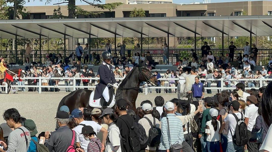 林伸伍さんのインスタグラム写真 - (林伸伍Instagram)「馬事公苑リニューアルオープンイベント 3日間で65,000人もの方が来苑されたようです 馬の周りには自然と人が集まりみんなが笑顔になる 今回参加させていただいて改めて馬という動物の素晴らしさ、人を魅了する力というものを感じ幸せな時間でした ご来苑いただいた皆様ありがとうございました🙏  #馬術 #馬場馬術 #馬 #乗馬 #horse #dressage #equestrian #インピー #horseriding #horselife  #horsesofinstagram #スコラリ　#馬事公苑　#引退競走馬」11月6日 21時59分 - hayashingo0125