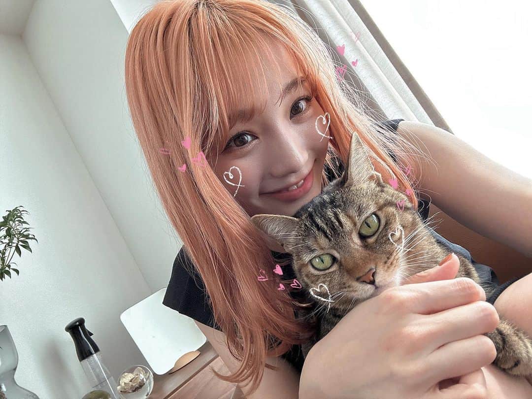 瀬川あやかのインスタグラム：「* 　あ 　げ 　る 猫写 ば真 かが り」