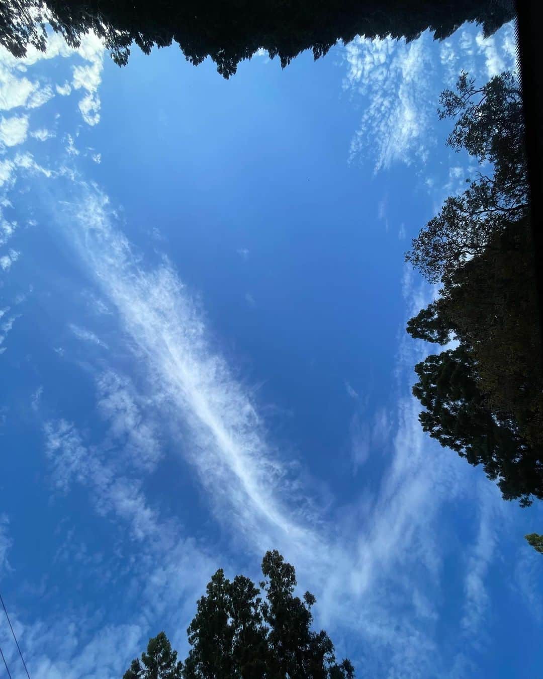 森川真帆さんのインスタグラム写真 - (森川真帆Instagram)「3度目の天河神社。 今回はとっても不思議な体験をした🤫🐉✨  #天河神社 #24時間奈良京都旅」11月6日 22時14分 - maho_morikawa