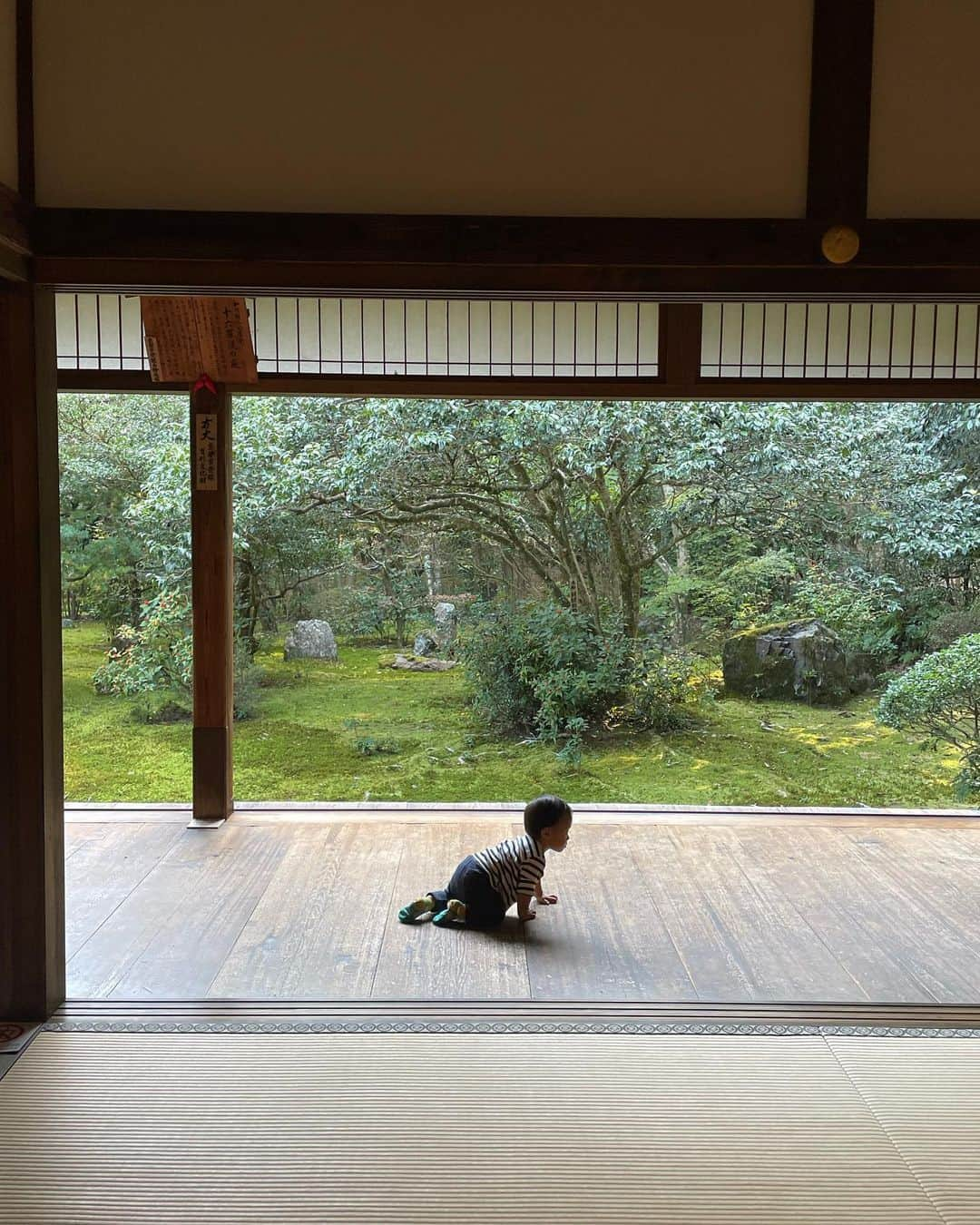 森川真帆さんのインスタグラム写真 - (森川真帆Instagram)「天河神社のあとは京都へ！ 奈良京都行こうって前日に決めたenergetic family👨‍👩‍👦  伏見稲荷は人が多すぎて写真撮れなかった😓 18歳のときちょこっと京都行って以来だから10年ぶり 24時間で大満喫の旅でした🍂  #24時間奈良京都旅 #伏見稲荷大社 #地蔵院 #鈴虫寺」11月6日 22時19分 - maho_morikawa