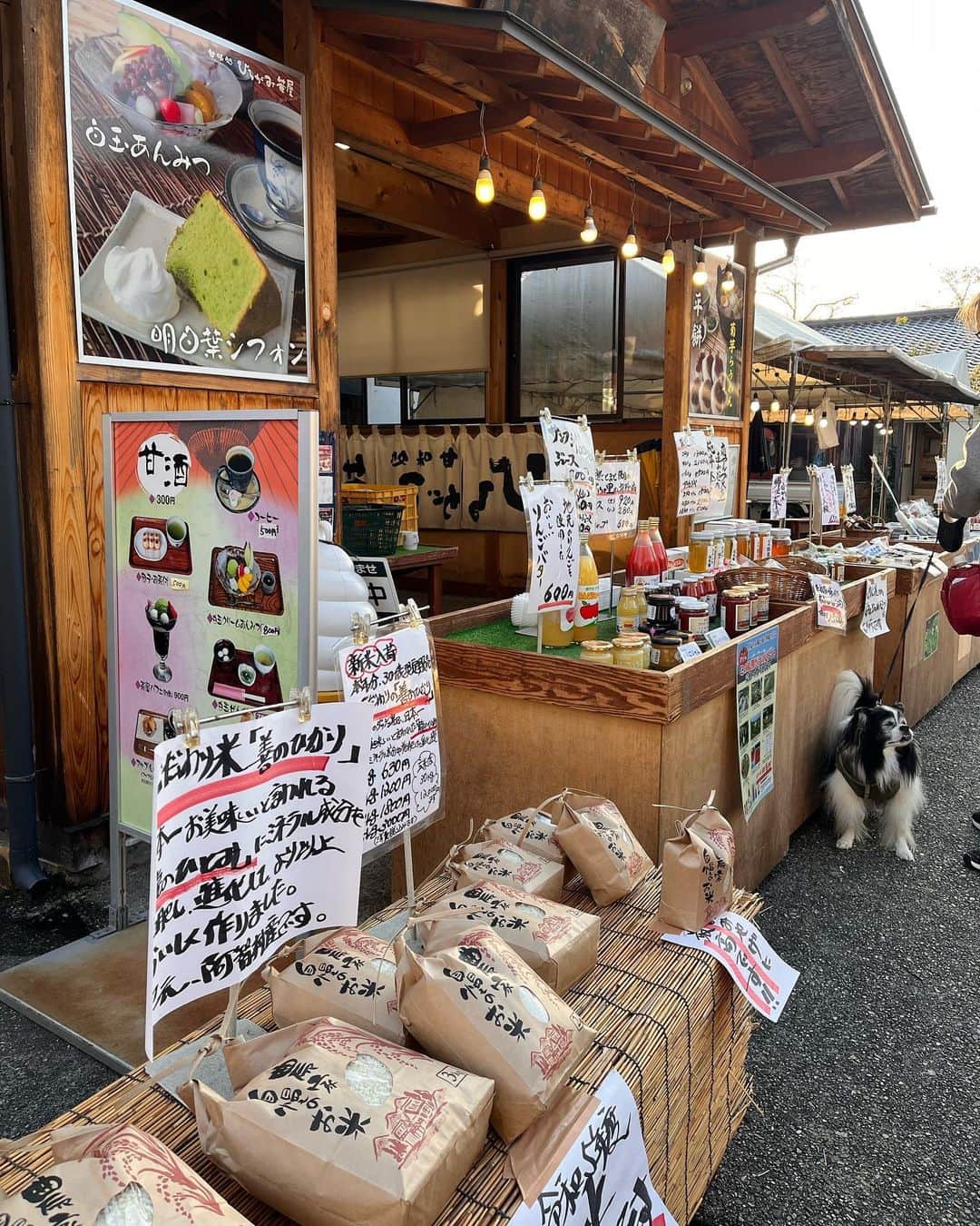 ななぴさんのインスタグラム写真 - (ななぴInstagram)「Achi village🌟  家族で星を見に阿智村へ行ったよ🌌 新月×晴れが重なって、プラネタリウムみたいな星空鑑賞ができて 一生の思い出になった😭📸💓  浪合パークで星空観測に参加して 双眼鏡をかりて寝そべりながら星空鑑賞🔭🌟  新月で月明かりもなく 気温もちょうどよく晴れ 満点の星空が見えました🌌 スバル発見したり土星や木星見つけたり 本当に楽しかった🪐 説明してくださったガイドさんがまた親切すぎて😭 星空鑑賞また行きたいです🌌  阿智村はご飯もとっても美味しくて🍚 ホテルも素敵だった☺️ はなやホテルに泊まりましたが出てくるご飯が まぁほんとーーに美味しくて！！ 料理長の方に大大大感謝です🙇‍♀️ リーズナブルでとっても美味しかった。おすすめのお宿です☺️  温泉も素晴らしかった♨️ 何度も入ってしまったけど貸切で 身も心も癒されました。😌  ぶらりと入った喫茶店が まるでジブリに出てくるような素敵な空間で 是非立ち寄って欲しい、、☕️  とにかくおすすめすぎる 阿智村。旅行してください🌌  朝市で購入したお米は とてつもなく美味しかった。 農家さんが作ったお米をご本人から購入して食べると また一層美味しくて、直接お礼が言いたくなるね☺️ また絶対買いに行きます。🚗  美味しいお米に美味しい料理でたくさん愛を感じました。 幸せな時間 ありがとうございました🍚💓  #阿智村　#長野旅行　#ホテルはなや　#阿智村の星空 #阿智村ナイトツアー #阿智村グルメ #星空ツアー　#長野旅　#家族旅行　#浪合パーク」11月6日 22時40分 - __nanapgram__