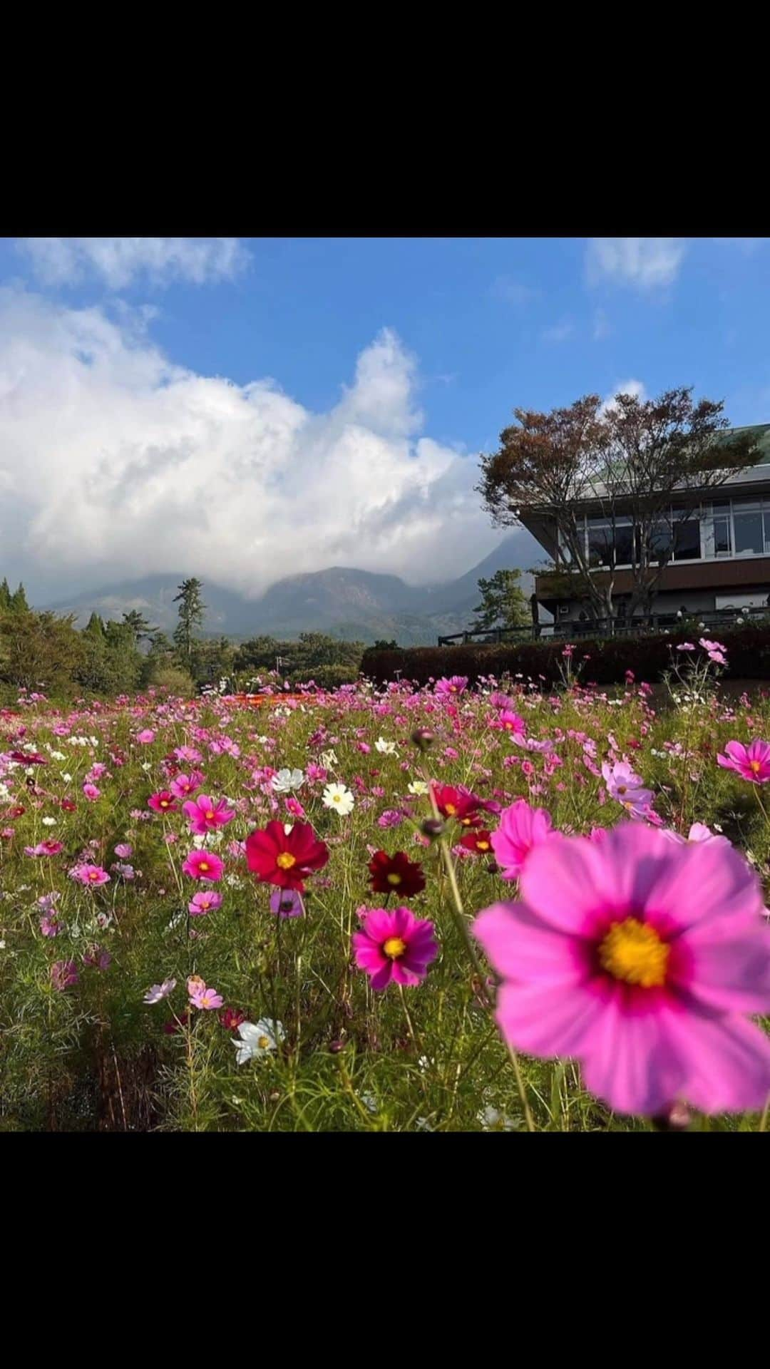 假屋崎省吾のインスタグラム