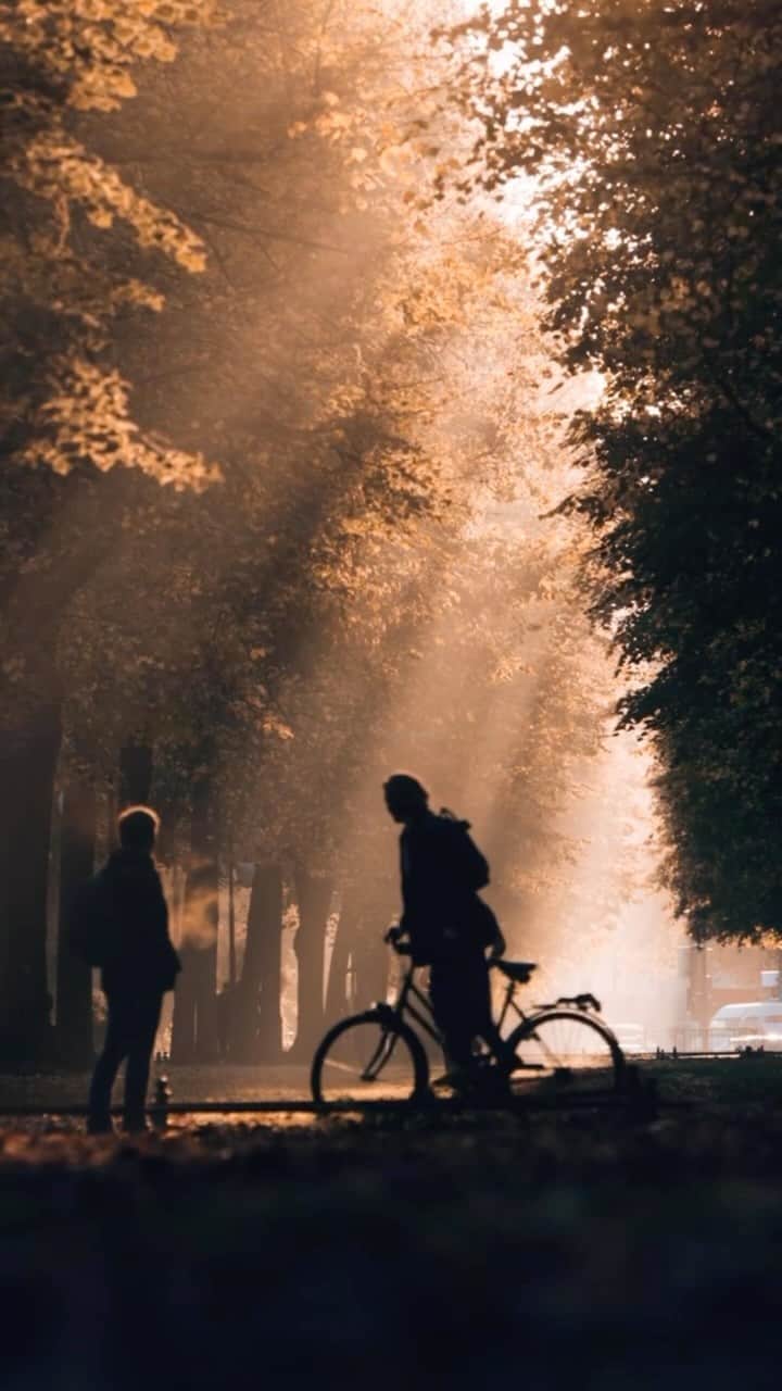 Thomas Kakarekoのインスタグラム：「In the quiet moments before the urban rush ✨ #berlin」
