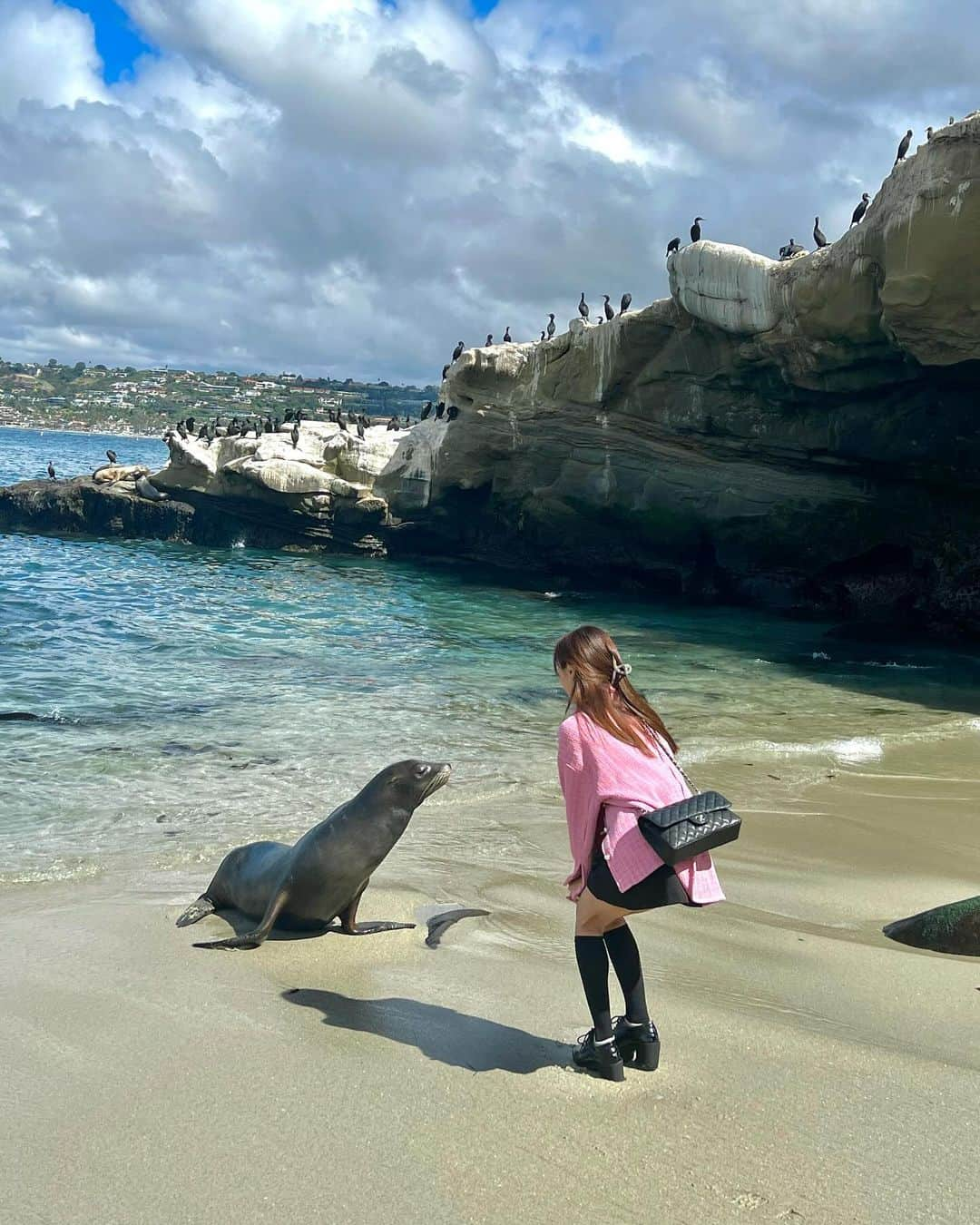 夏本あさみのインスタグラム：「合成かのような🦭」