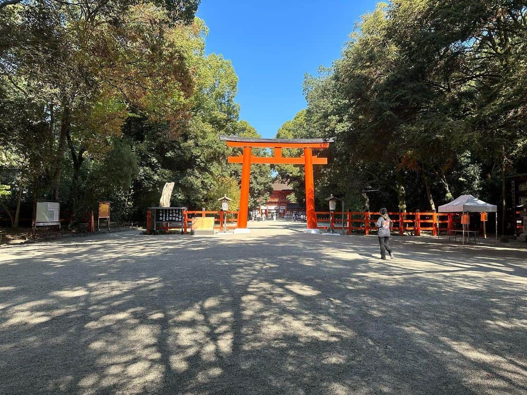 Atsukoのインスタグラム：「おついたちの下鴨神社へ参拝に。 本殿をお参り後は、申餅をいただいてから、河合神社へ進み、かりん美人水をいただくのが、下鴨神社参拝と糺ノ森散策のルーティン。 河合神社に訪れると月次祭の最中。神職さんの作法を見るのも久しぶりだったので、いつかどこかのタイミングで御祈祷受けたいなと思った、11月初めの暑い日和のとある1日。  #kyoto #下鴨神社 #糺ノ森 #京都」