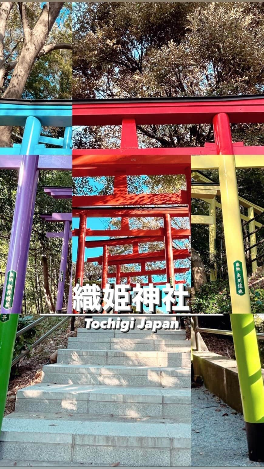 MIMIのインスタグラム：「⛩✨  📍足利 織姫神社  7色のカラフルな鳥居❤️💚🧡🩷💛💜🩵  縁結びの神社🥰 7色それぞれの意味があるので ぜひ行って確認してみてね😌🙏💘  #足利織姫神社#織姫神社#縁結び#縁結び神社 #栃木県#足利市#栃木#TochigiJapan#Tochigi#mimitrip_2023 #カラフル鳥居#7色の鳥居#tabijyomap_japan #tabijyo_trip #tabijyo_colorful#genic_mag #genic_japan #genic_travel #genic_colorful」