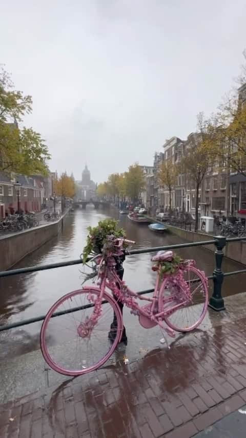 ノエル・ギャラガーのインスタグラム：「24 hours in Amsterdam 🚲 #BehindTheScenes #Tourlife #NGHFBTour」